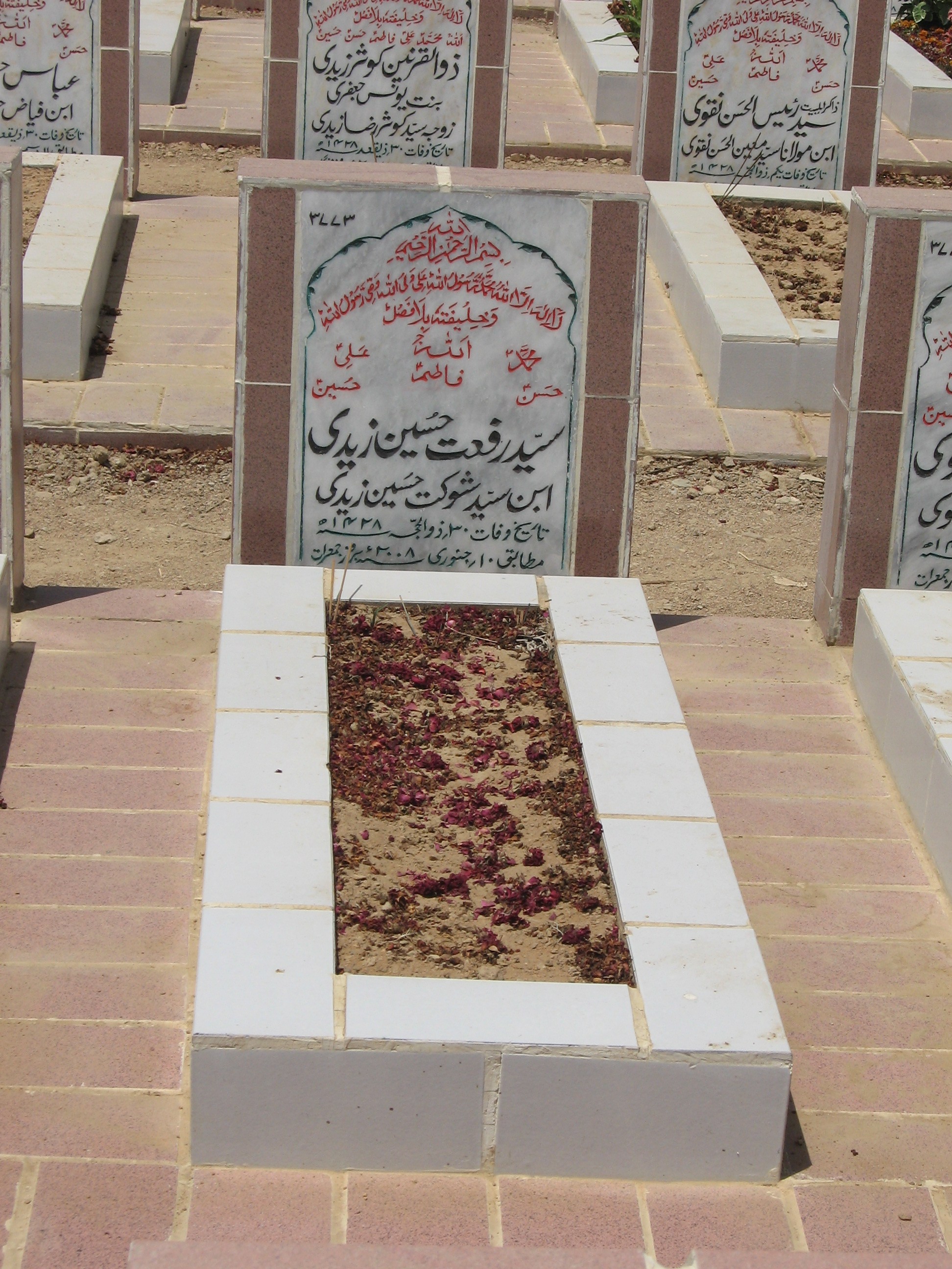 3773 – Syed Raffat Hussain Zaidi