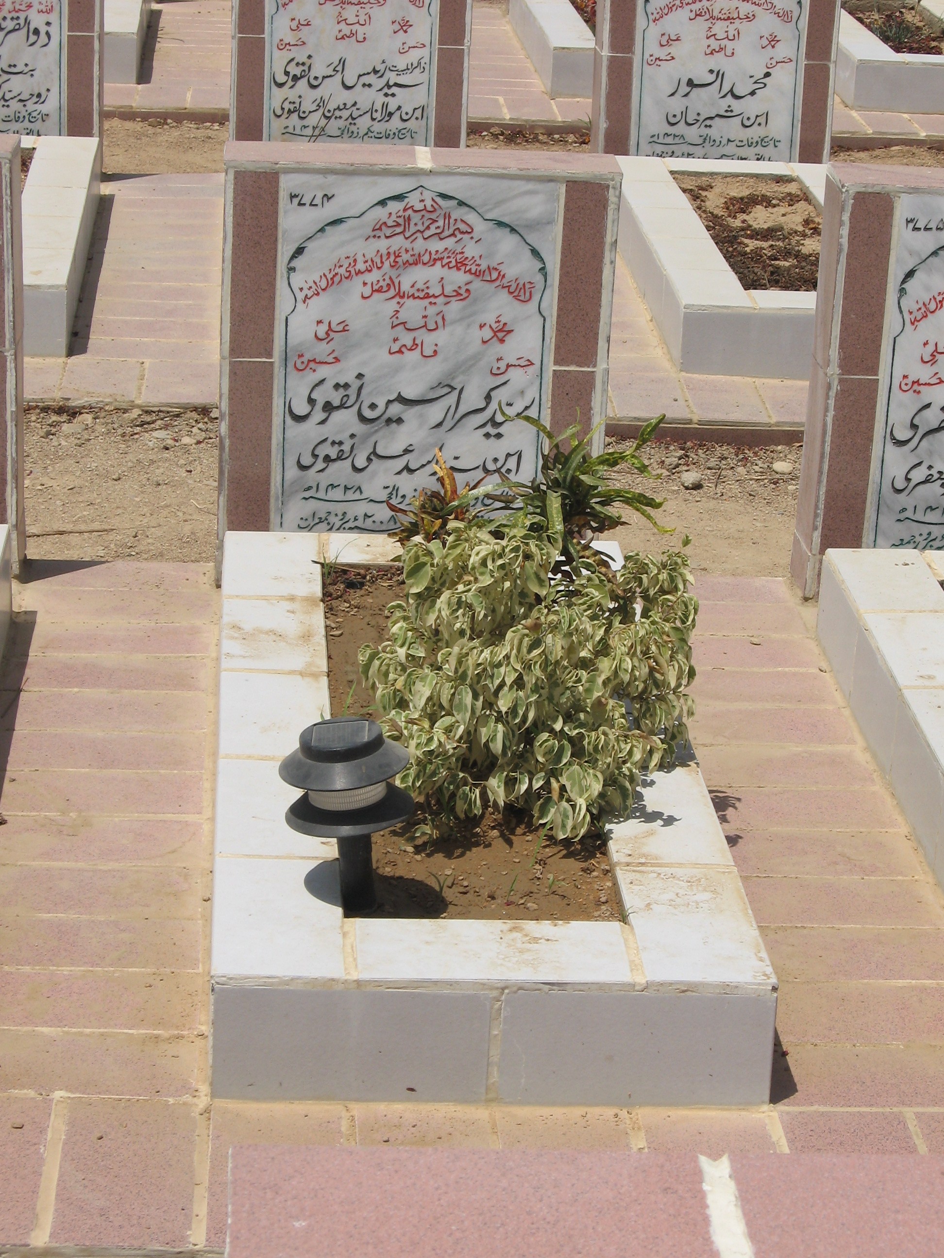 3774 – Syed Karrar Hussain Naqvi