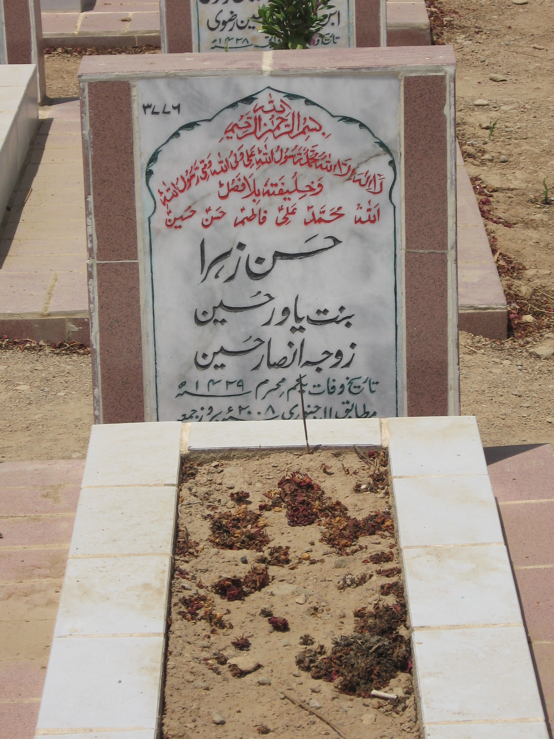 3776 – Hassan Zehra