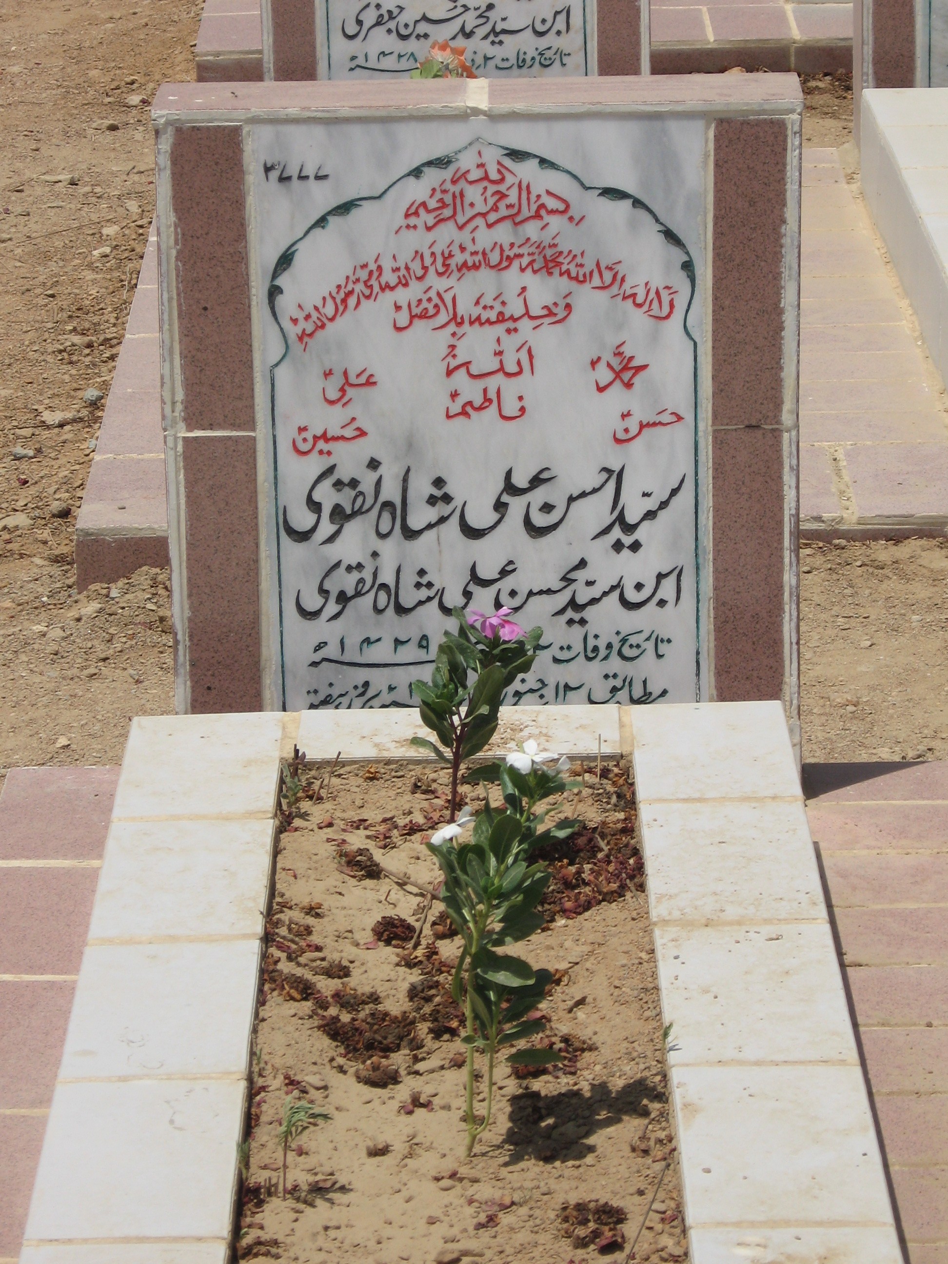 3777 – Syed Ahsen Ali Shah Naqvi