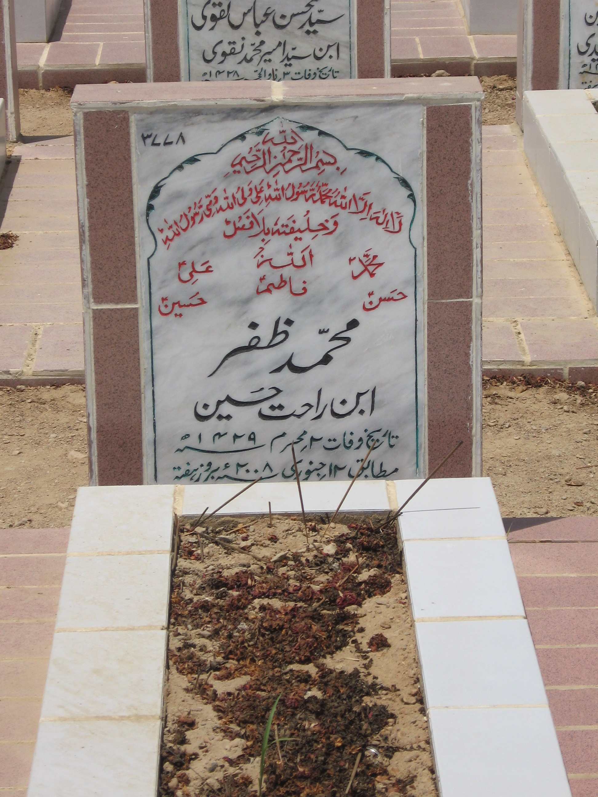 3778 – Muhammad Zafar