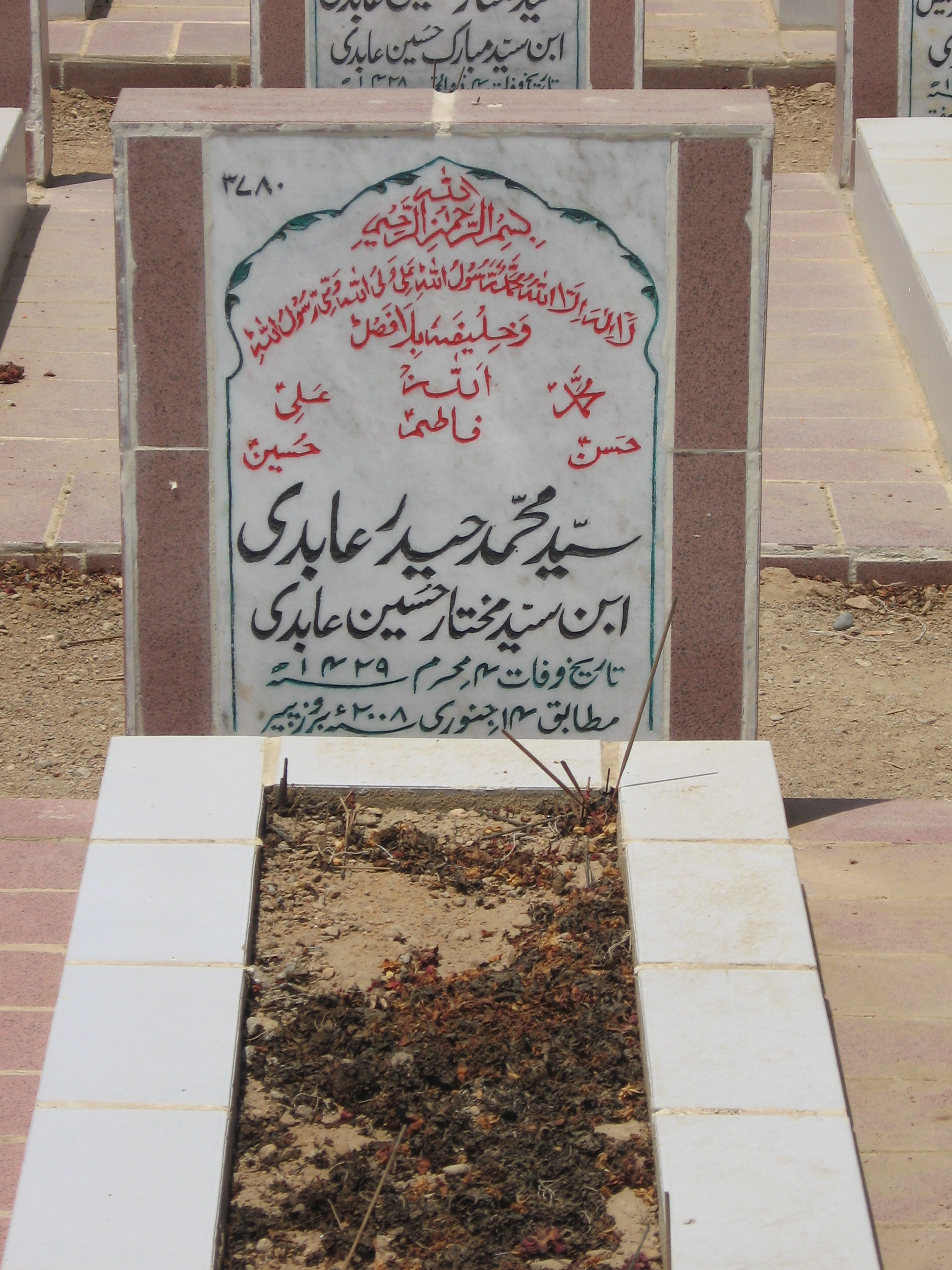 3780 – Syed Muhammad Haider Abidi