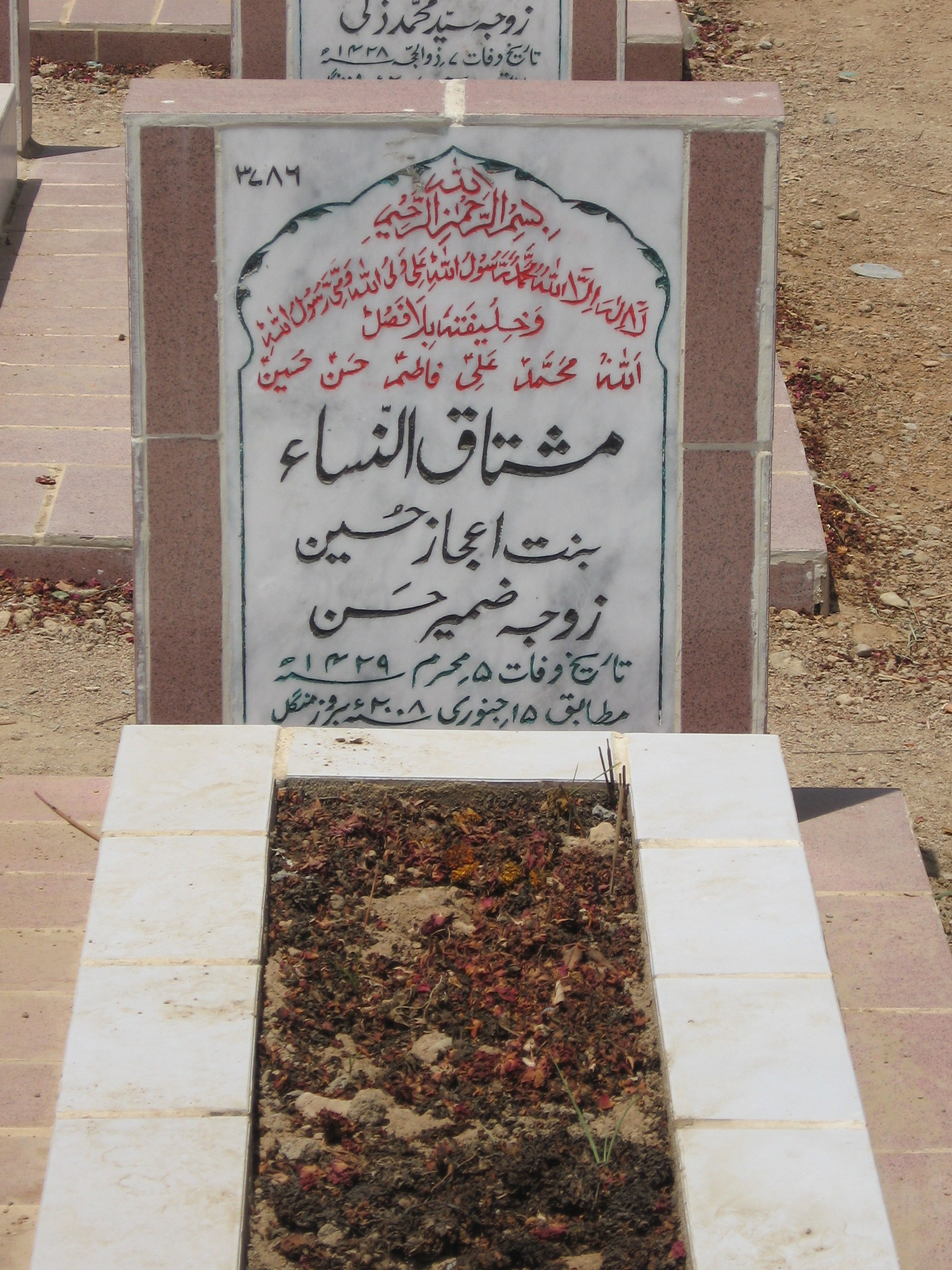 3786 – Mushtaq-u-Nisa