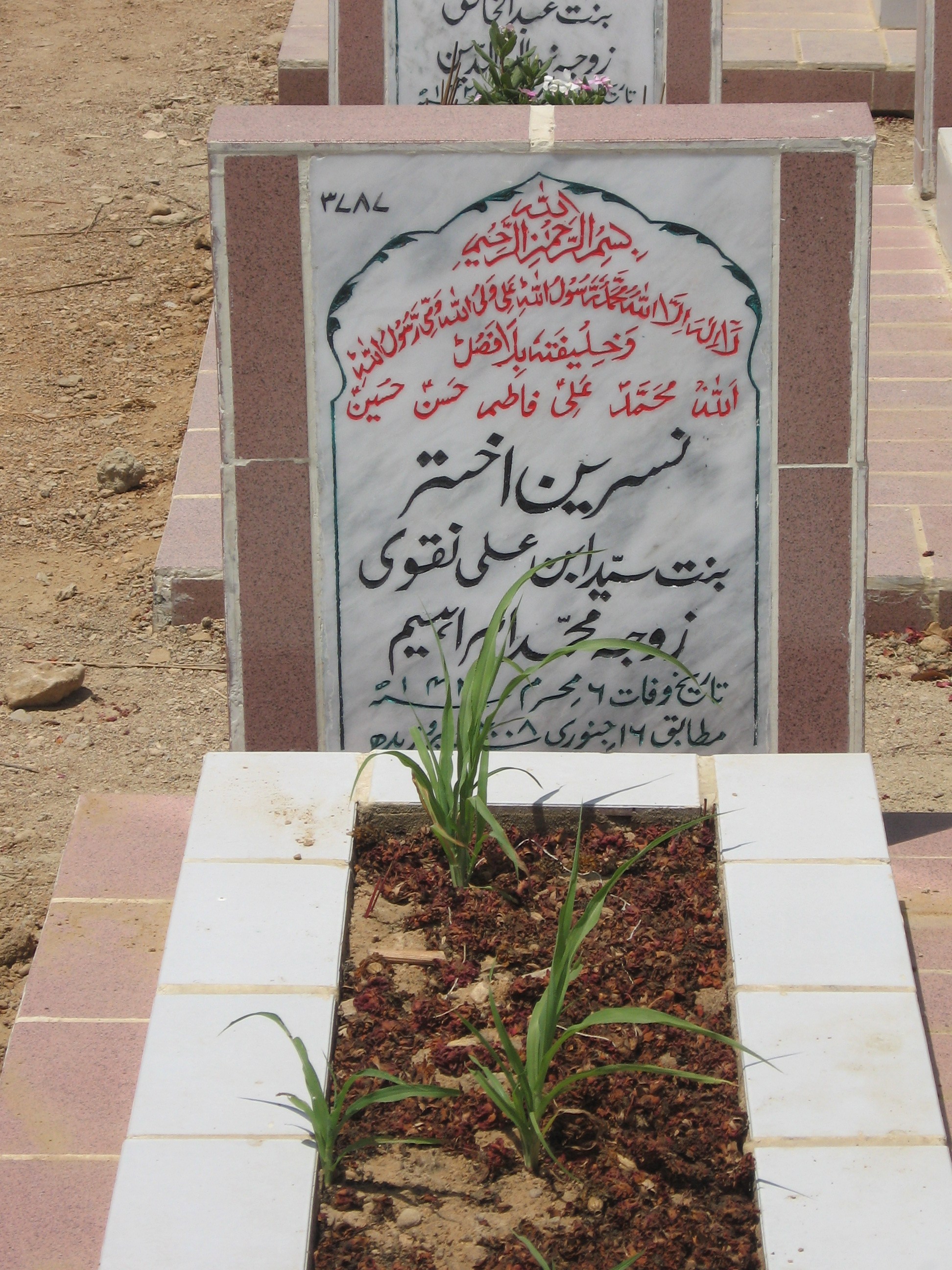 3787 – Nasreen Akhter