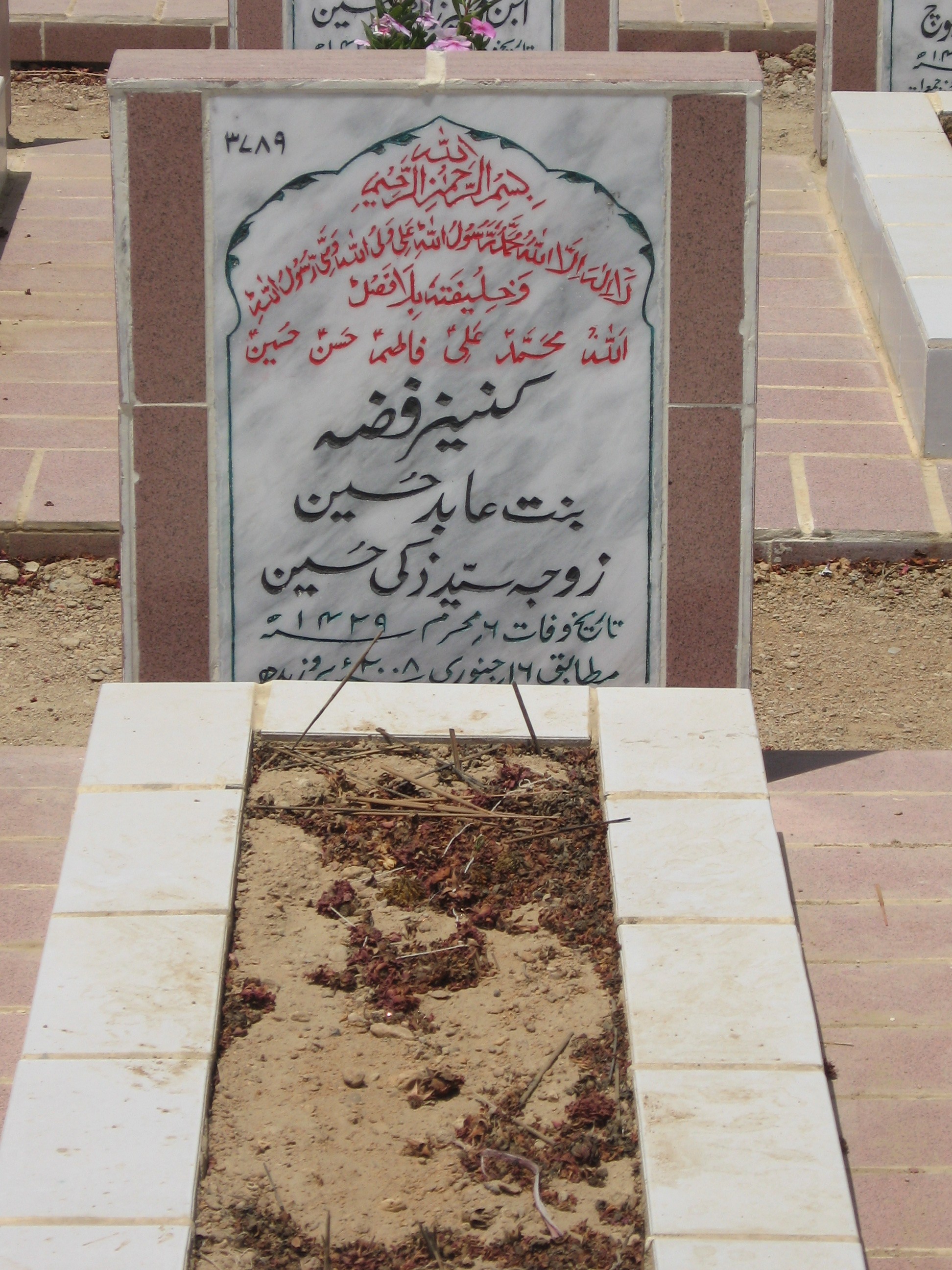 3789 – Kaneez Fizah