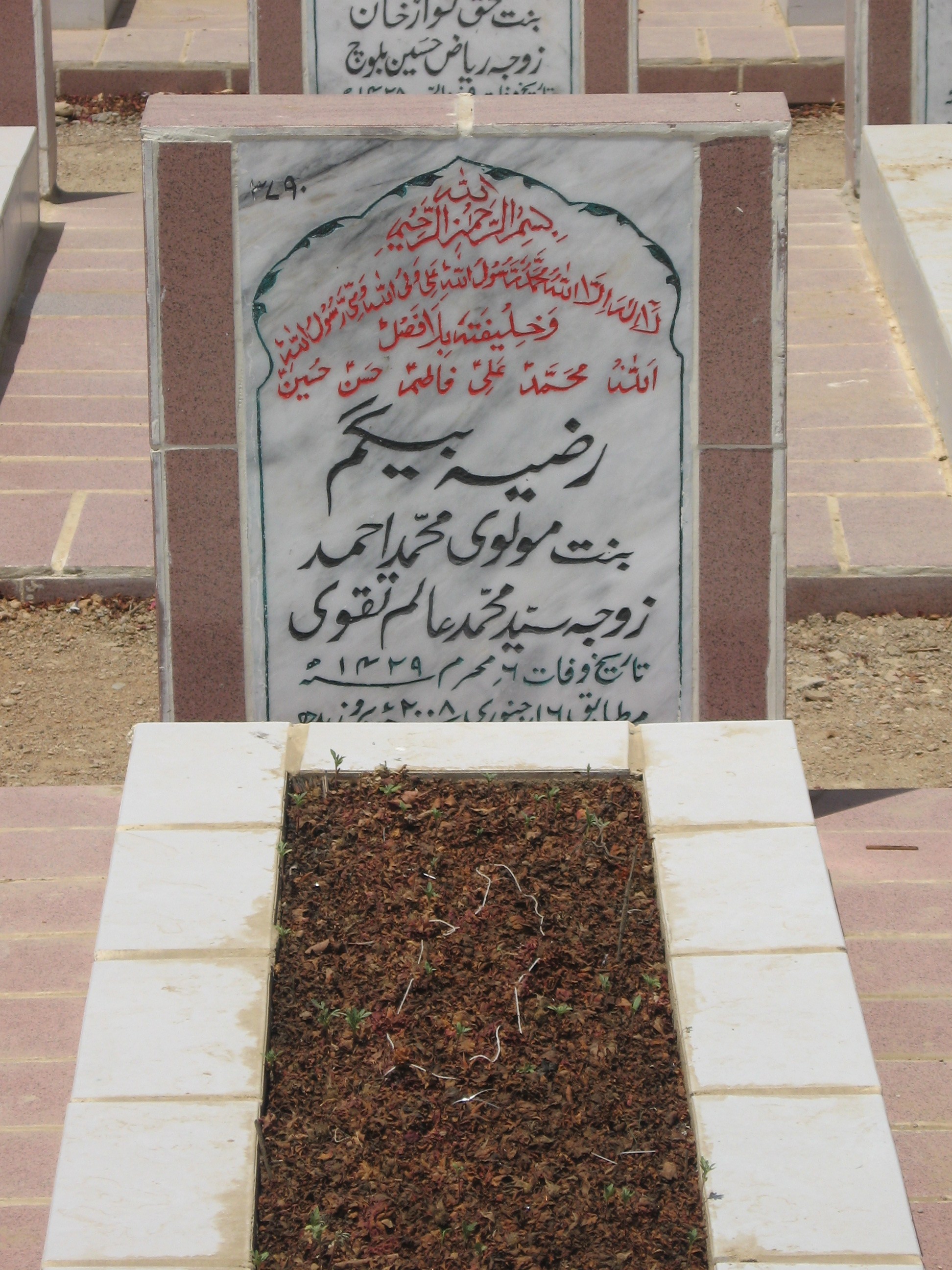 3790 – Razia Begum