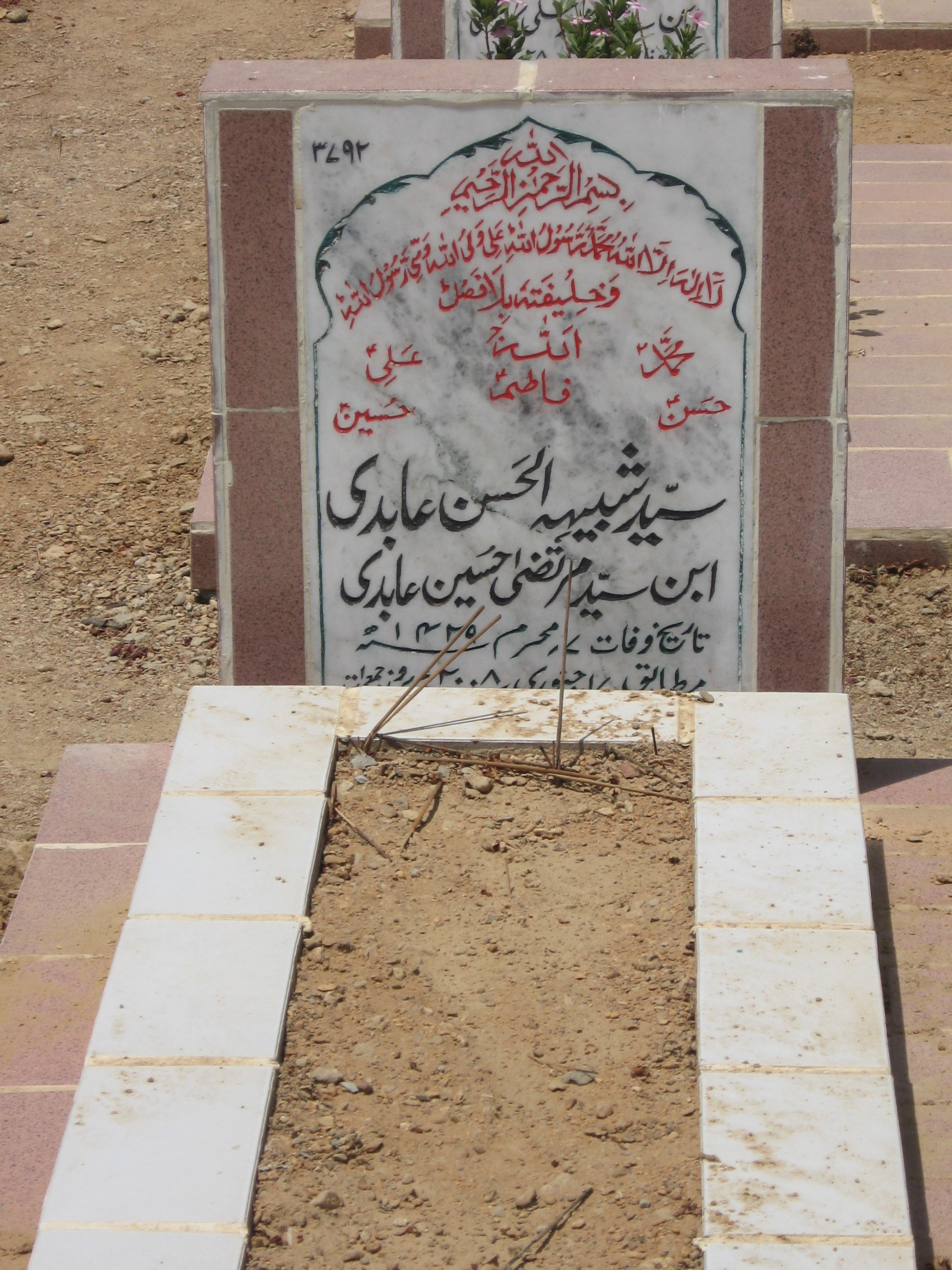 3792 – Syed Shabih-ul-hassan Abidi