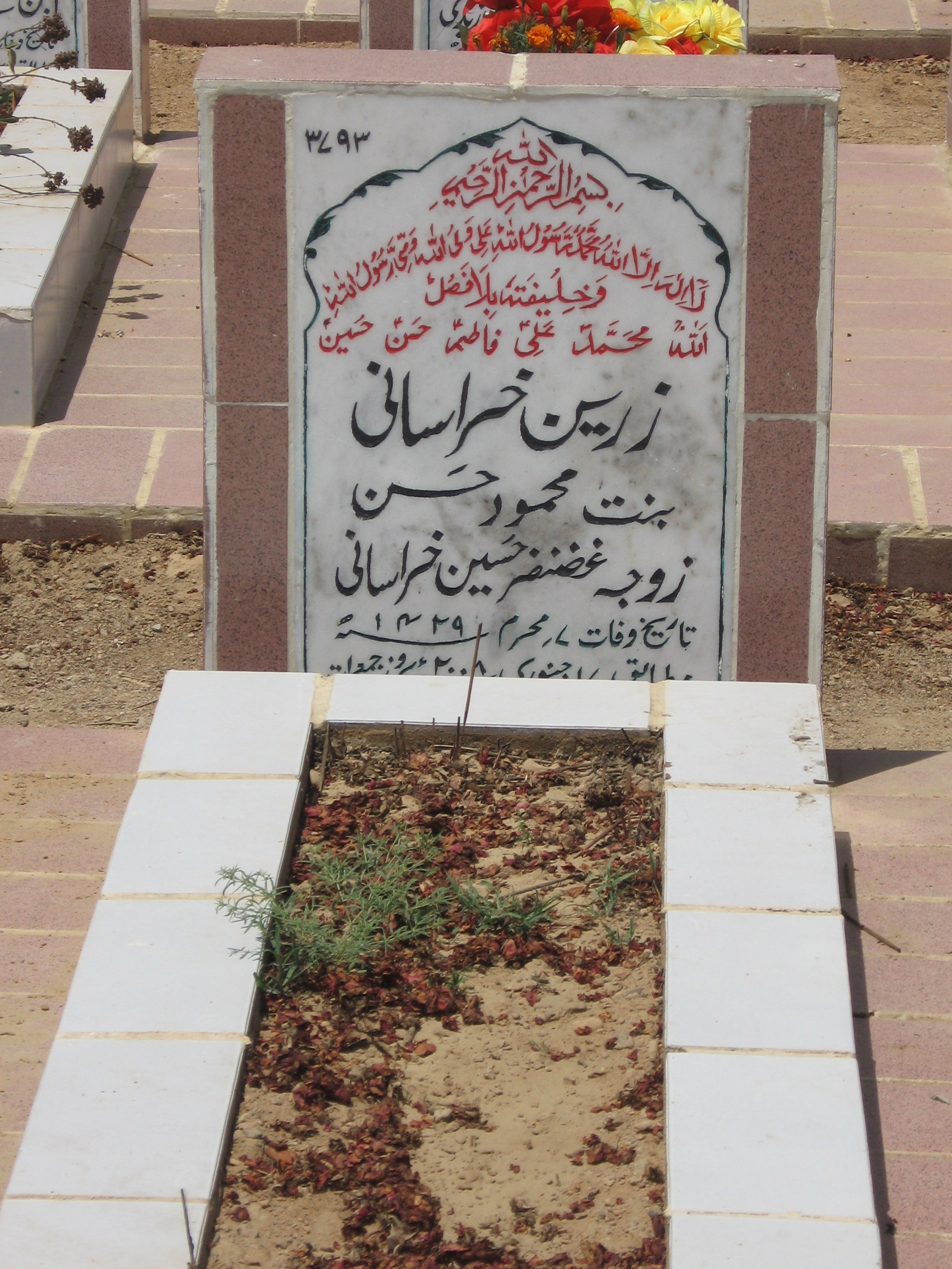 3793 – Zareen Khurasani