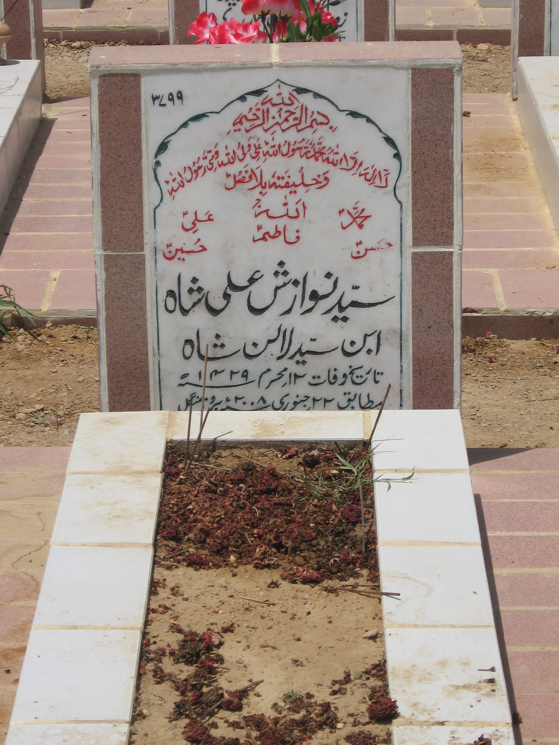 3799 – Syed Nawazish Ali Shah