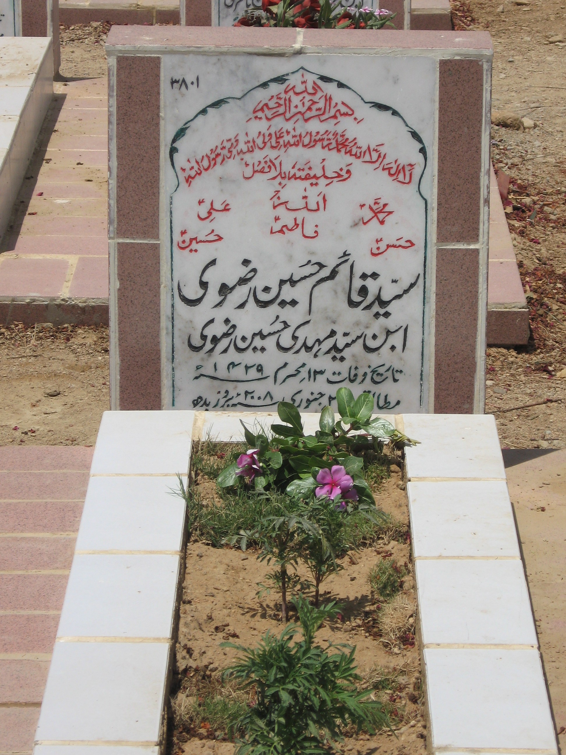 3801 – Syed Qaim Hussain Rizvi