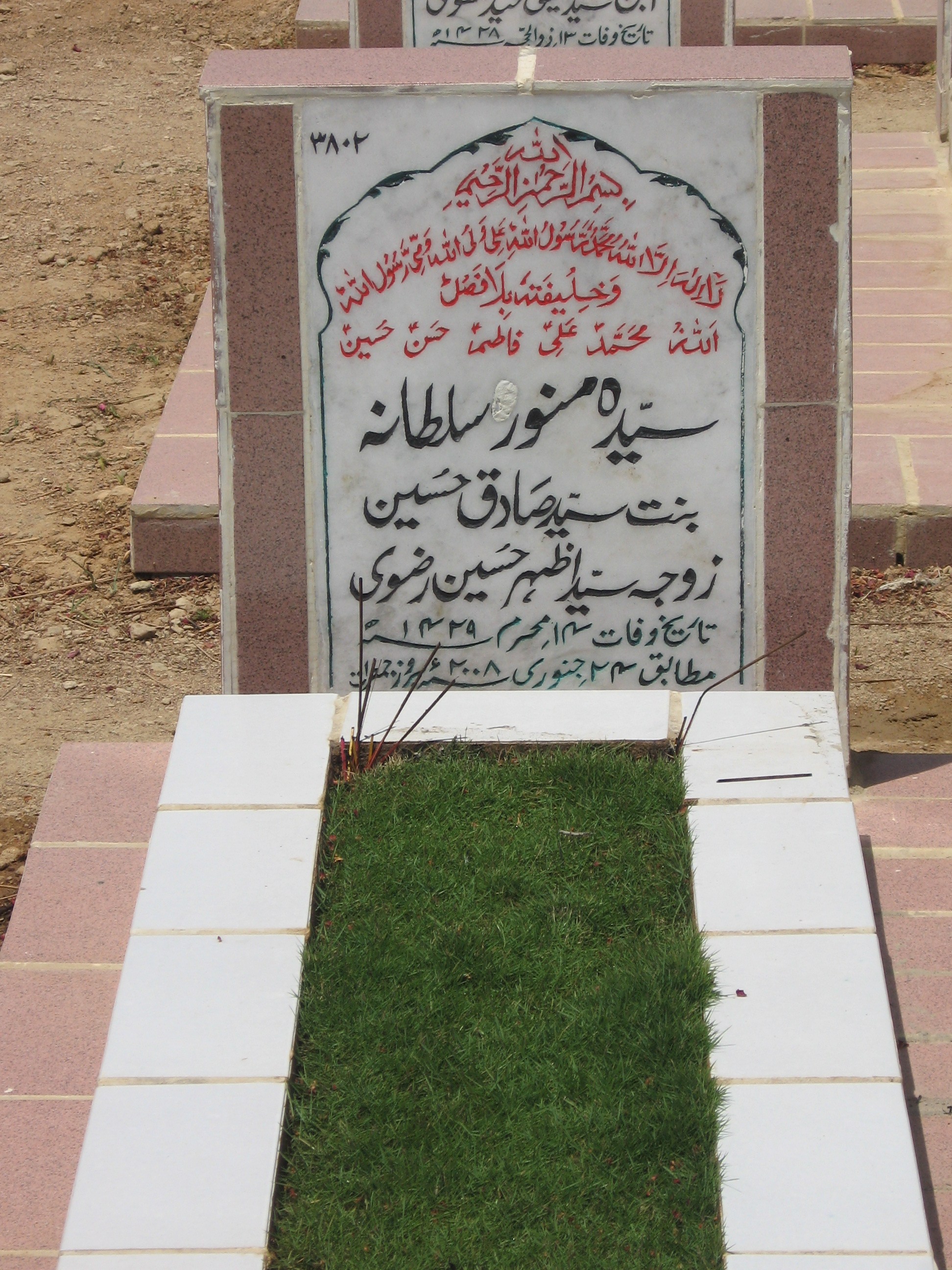 3802 – Syeda Munawarah Sultana