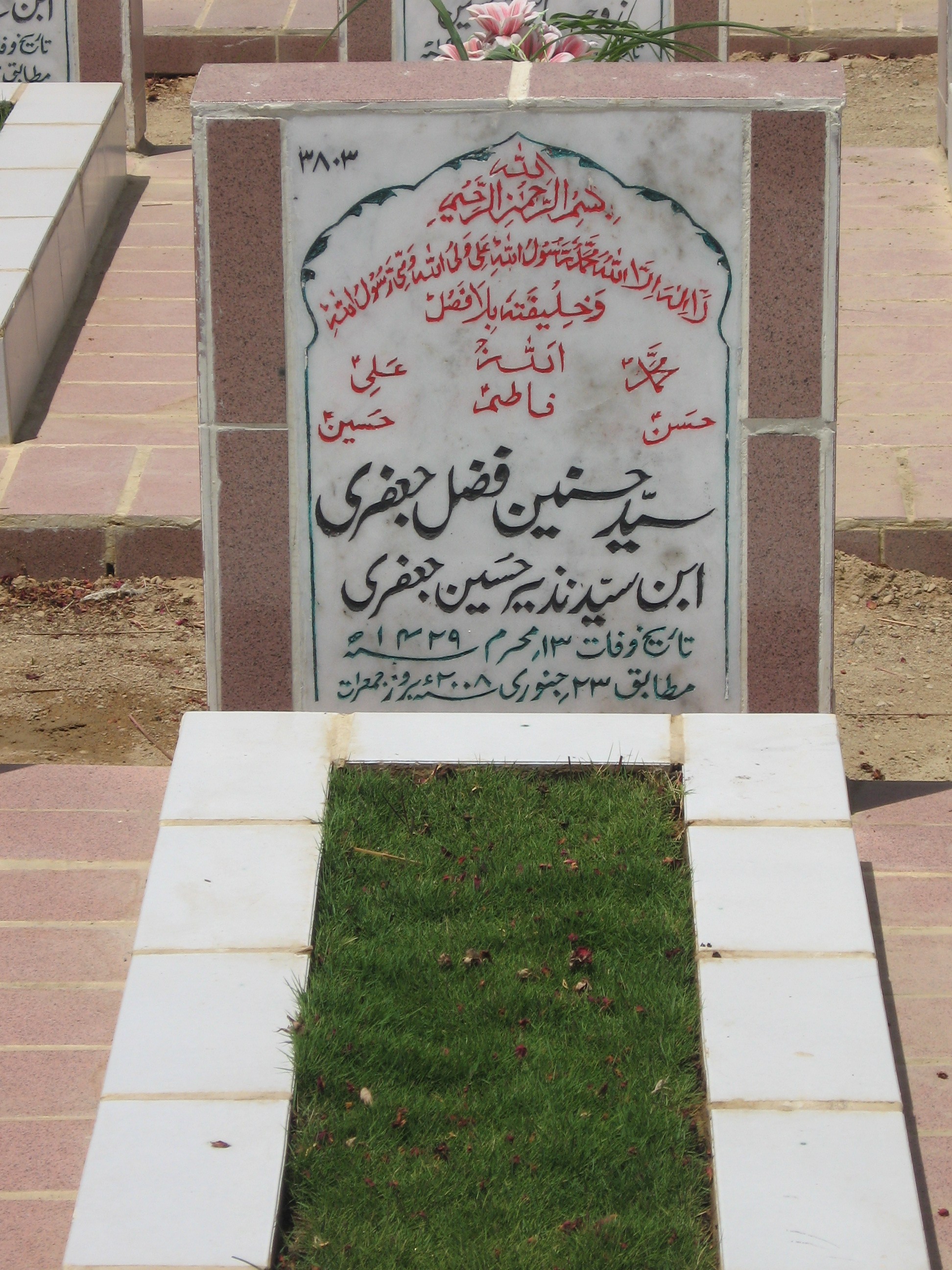 3803 – Syed Hasnain Fazal Jaffri