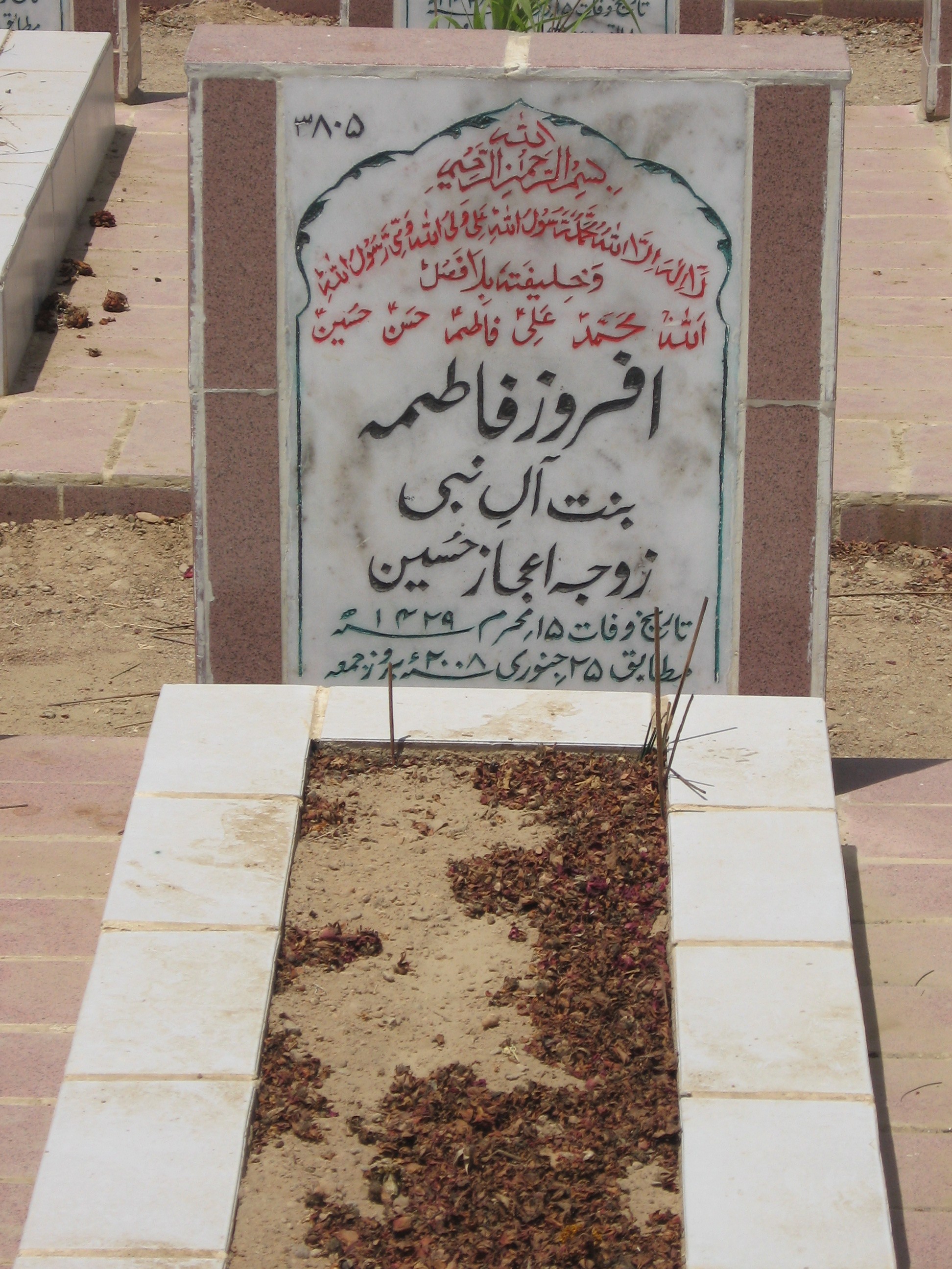 3805 – Afroze fatima