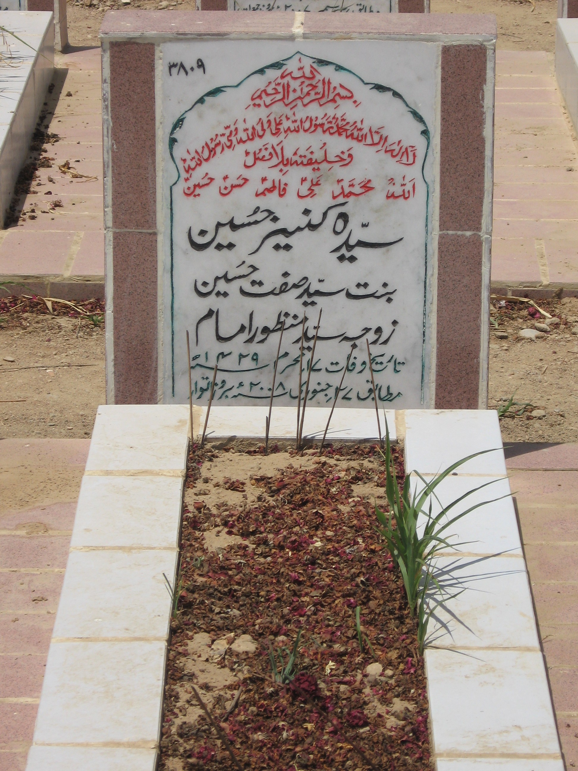 3809 – Kaneez Hasnain