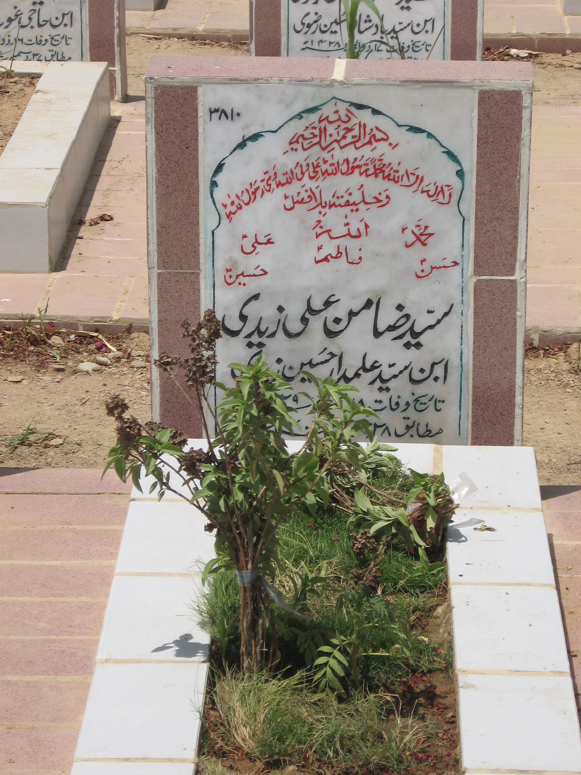 3810 – Syed zamin Ali Zaidi