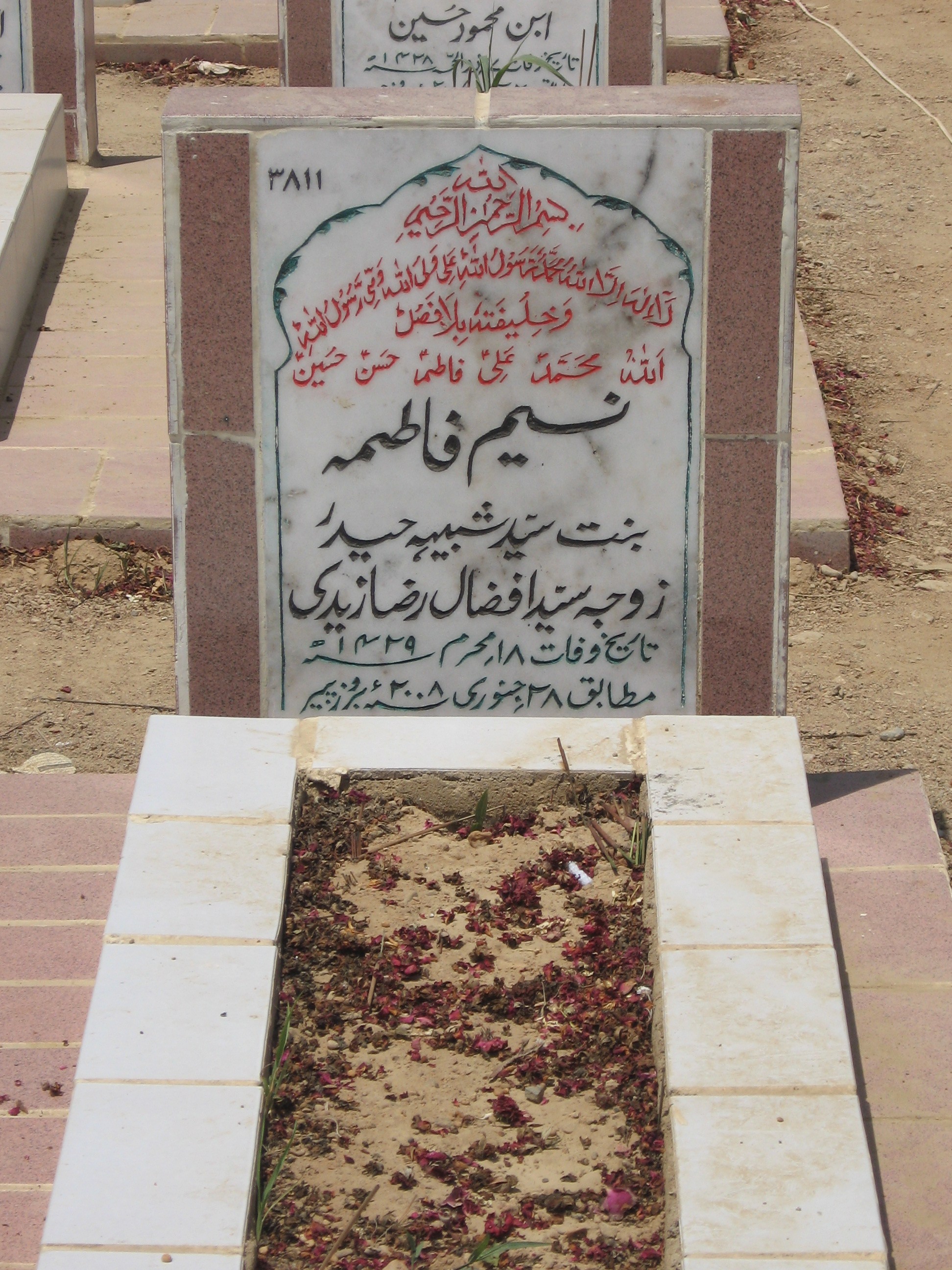 3811 – Naseem Fatima