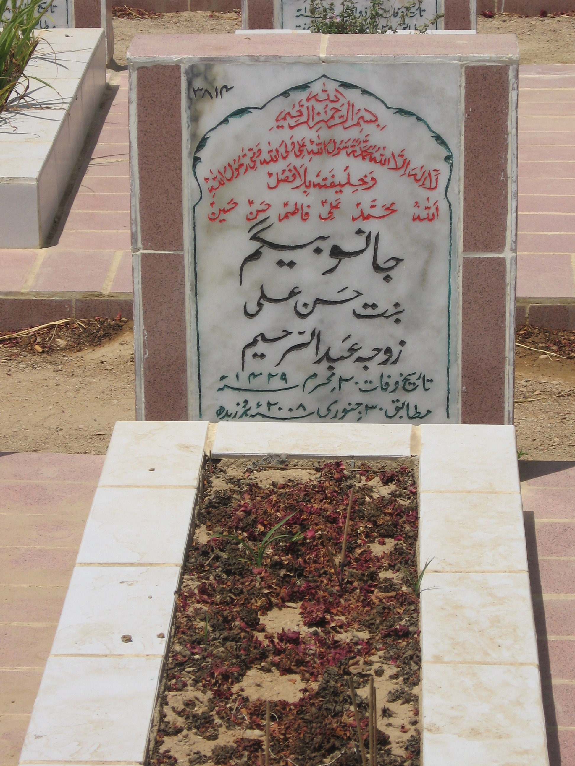 3814 – Janoo Begum