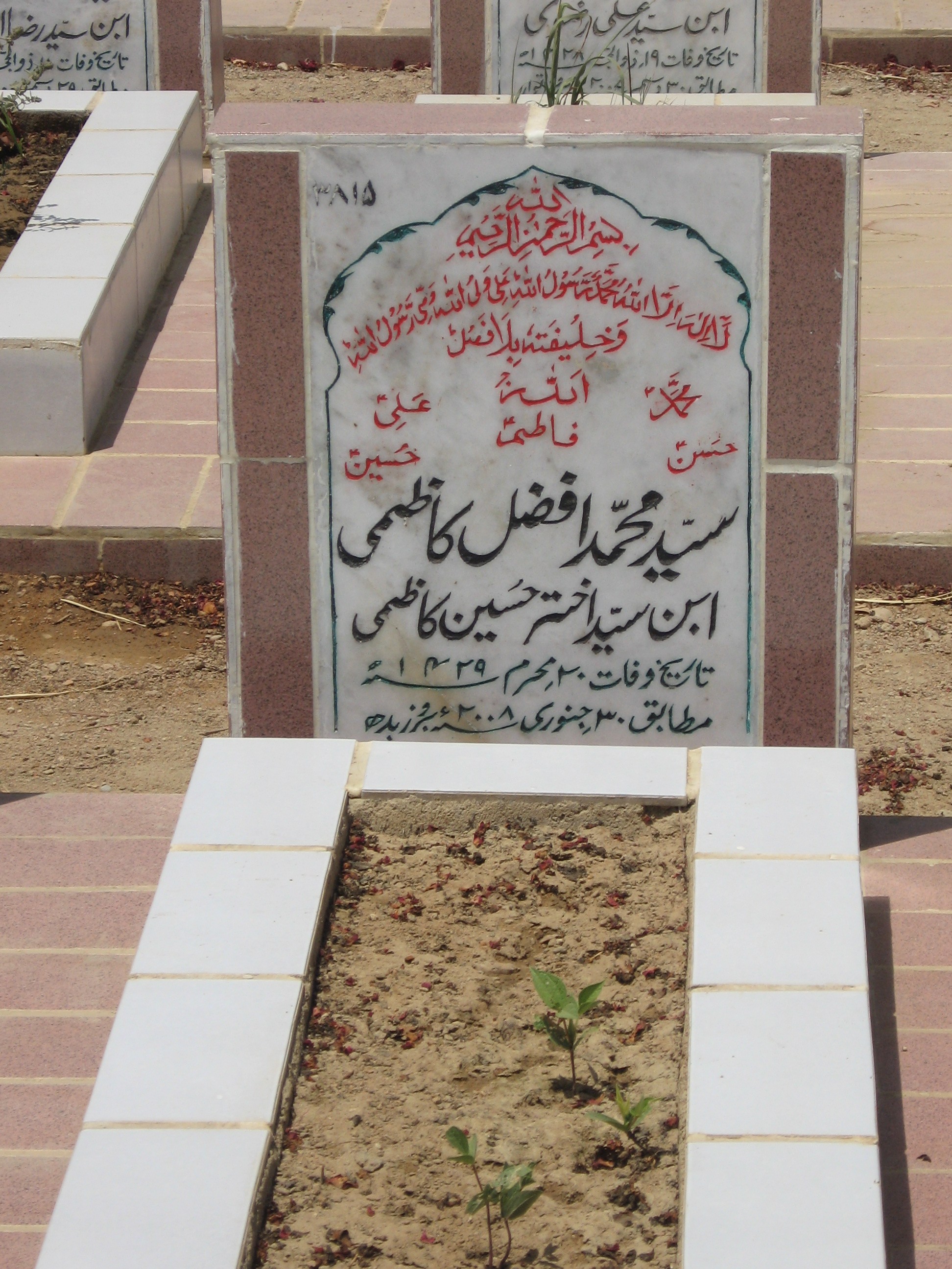 3815 – Syed Muhammad Afzal Kazmi