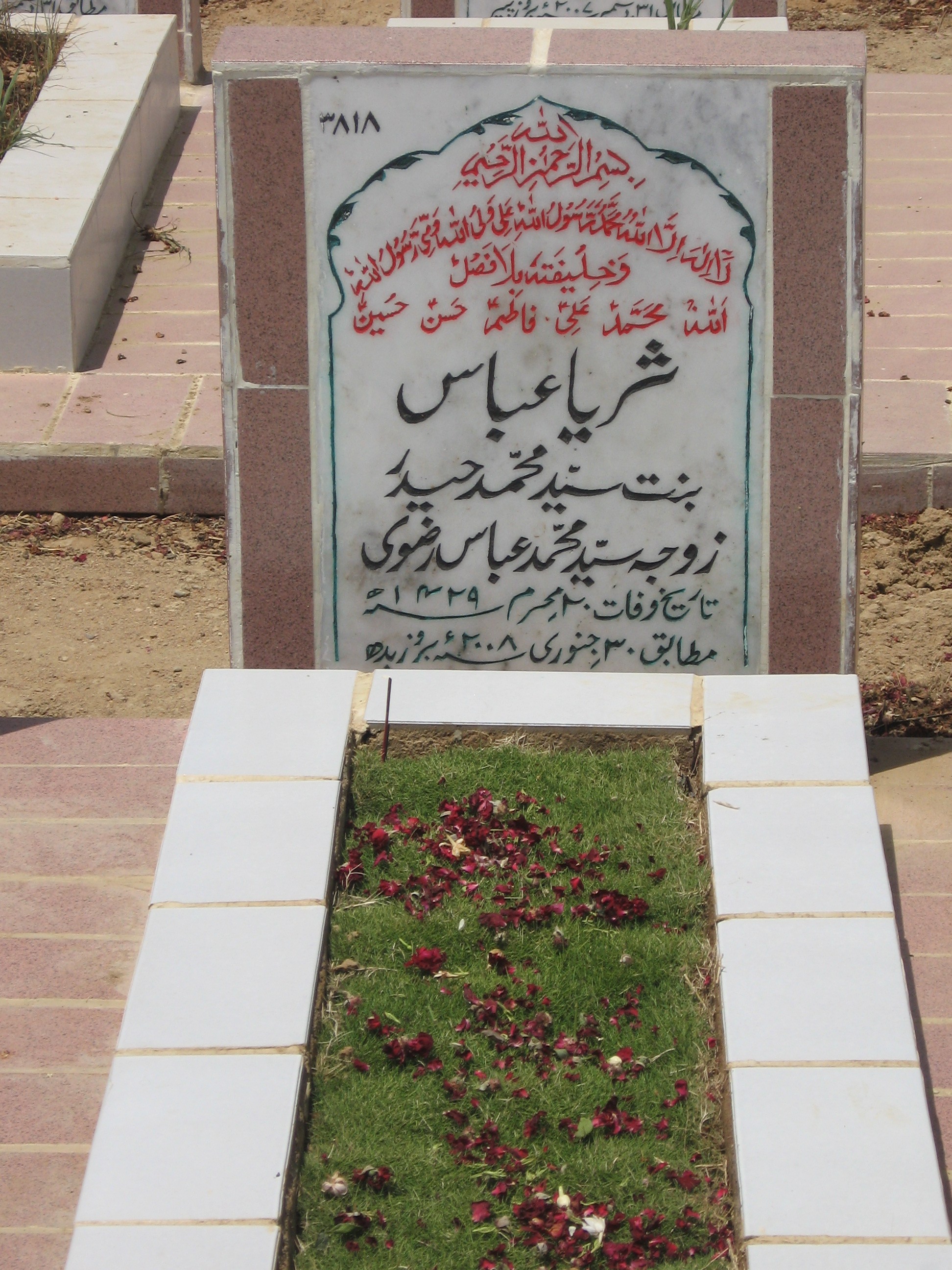 3818 – Surriya Abbas