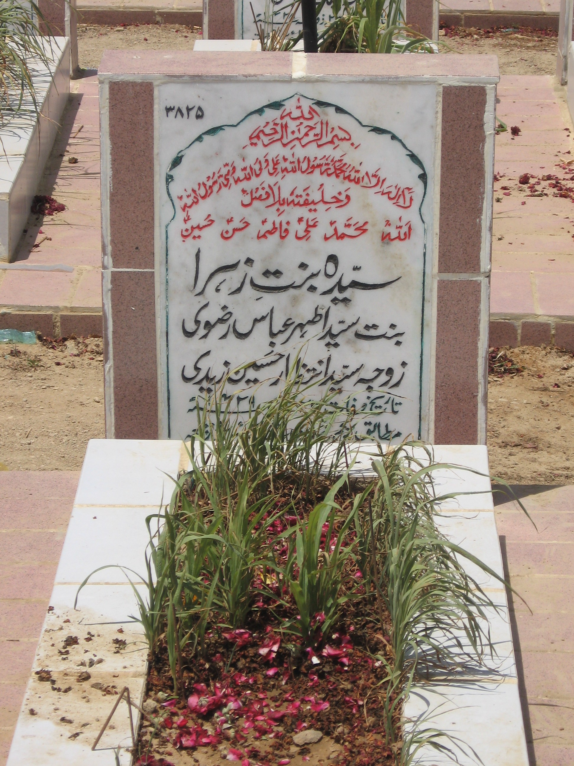 3825 – Syeda Bint-e- Zehra