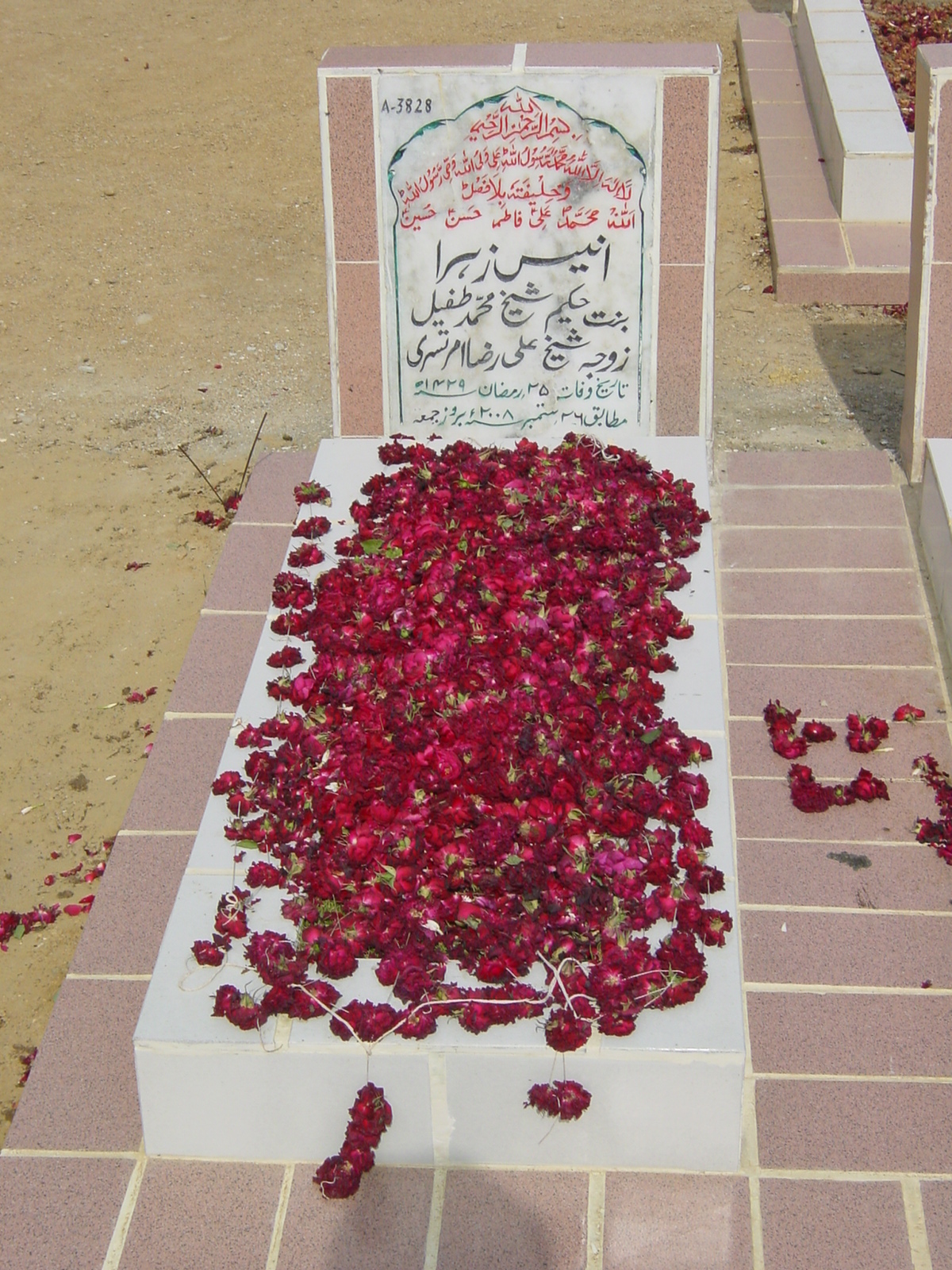 3828 – Anees Zehra