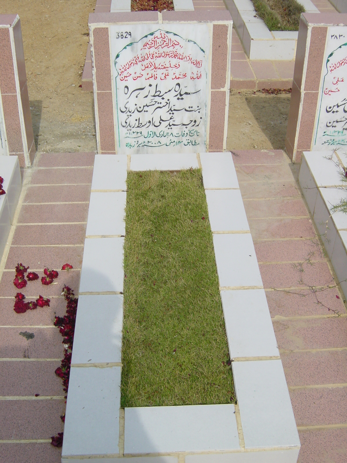 3829 – Syeda Sibt e Zehra