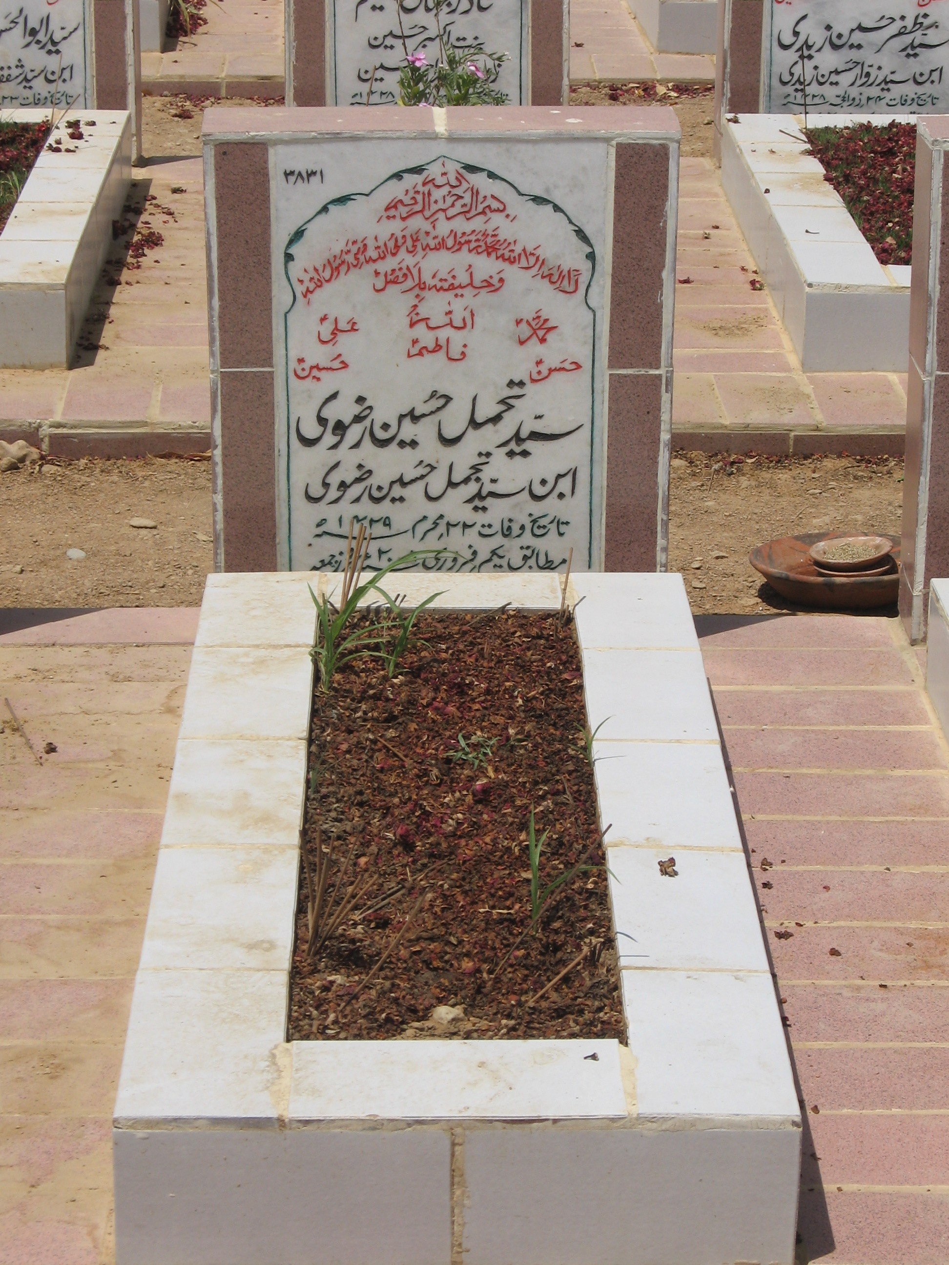 3831 – Syed Tahamul hussain Rizvi