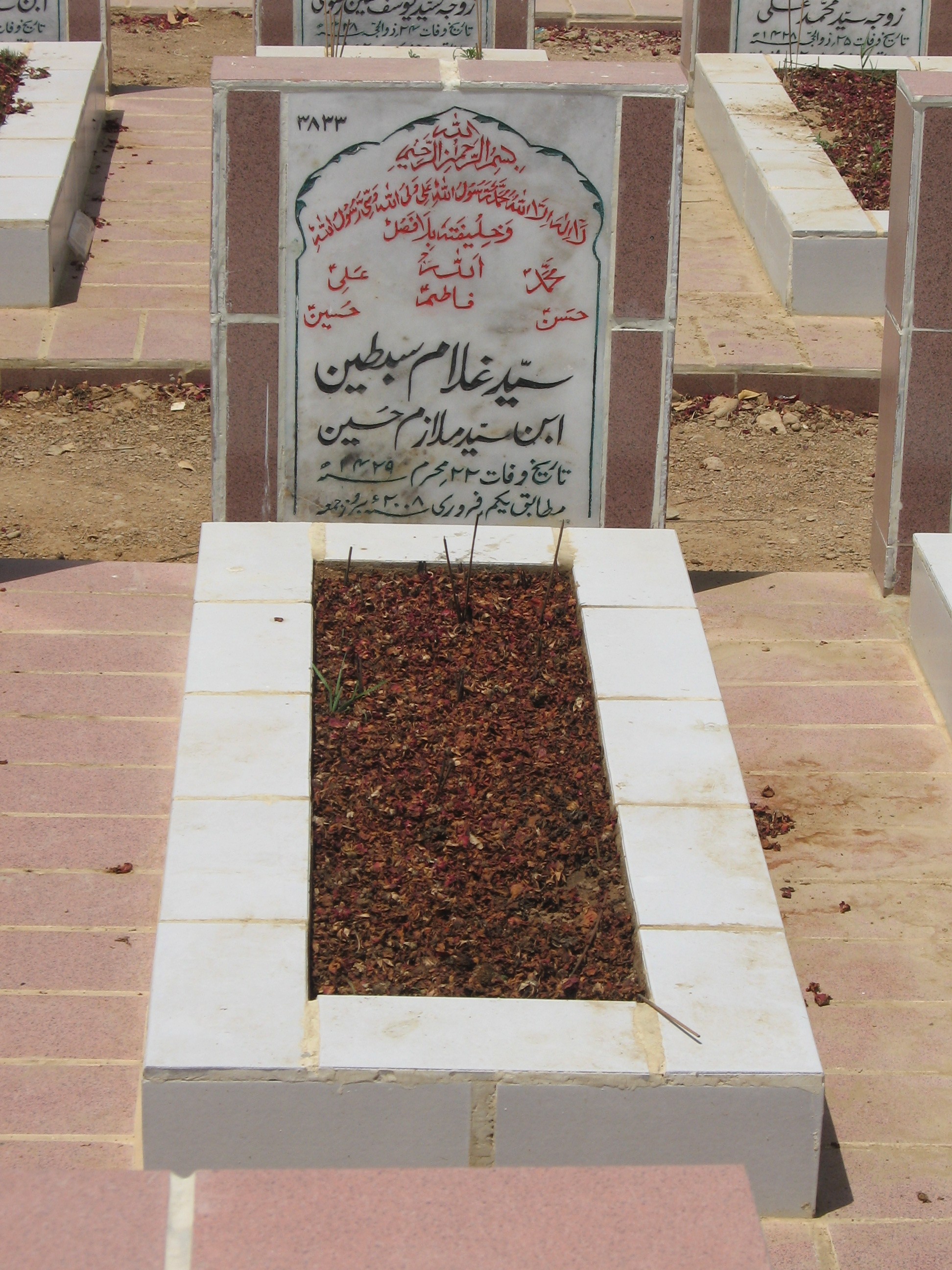 3833 – Syed Ghulam Sibtain