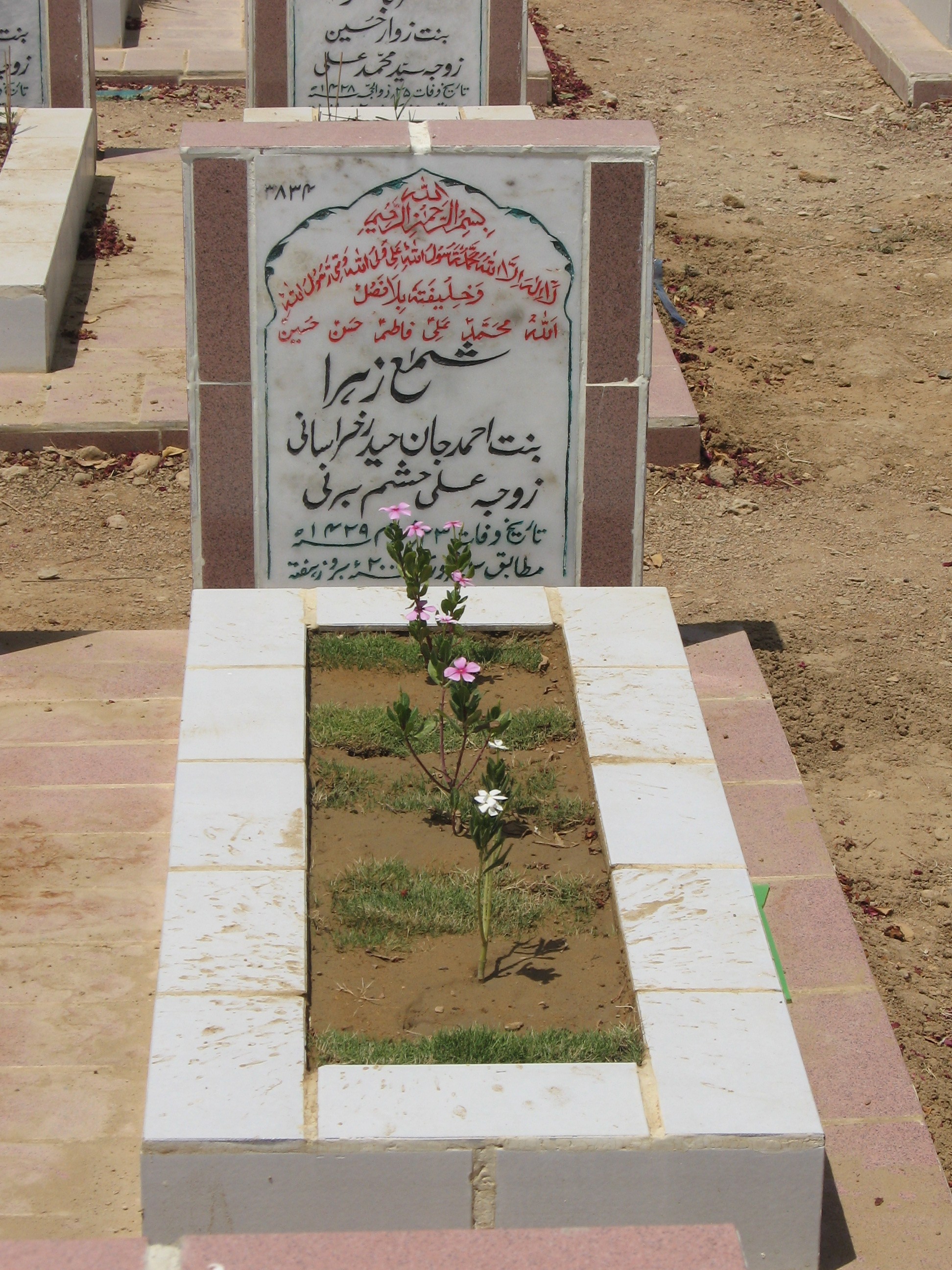 3834 – Shama Zehra