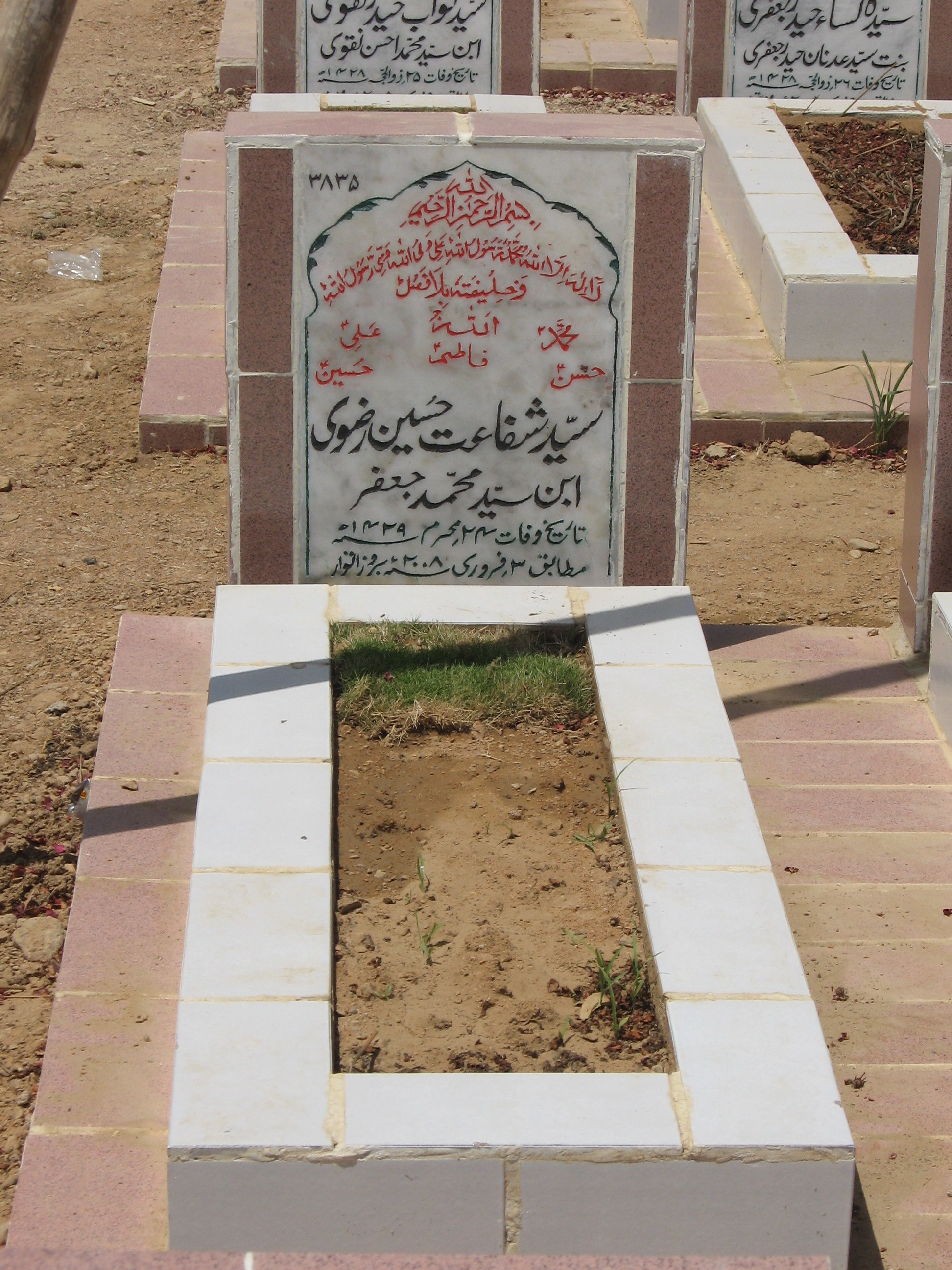 3835 – Syed Shaffat Hussain Rizvi