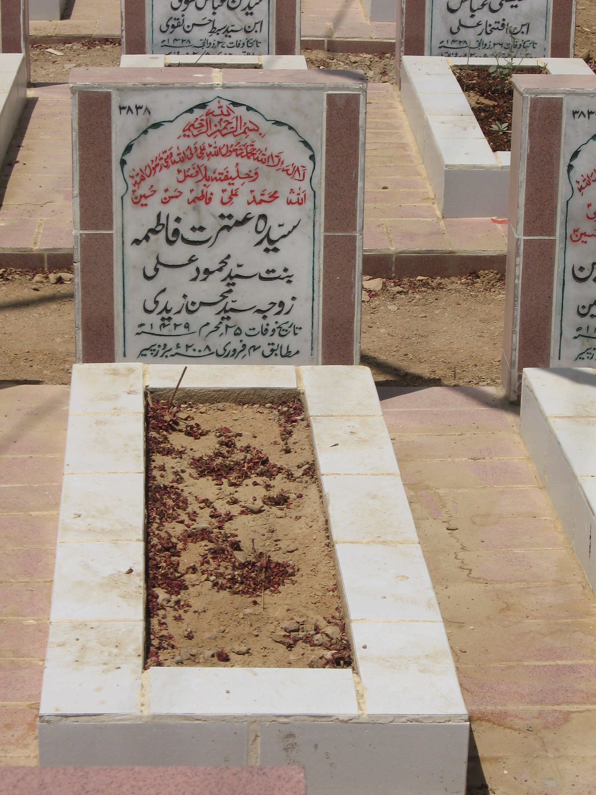 3838 – Syeda Izzat fatima