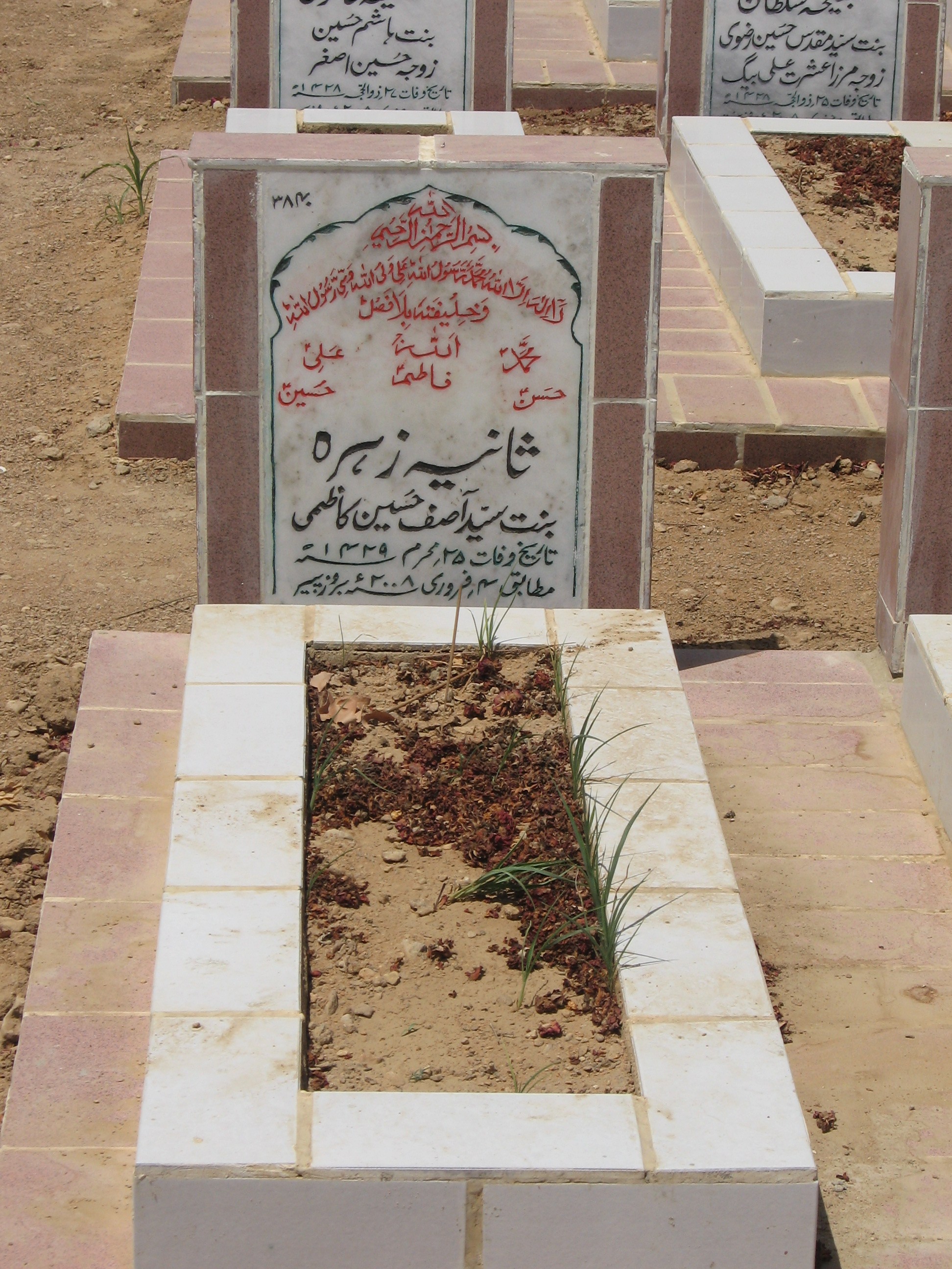 3840 – Saniyah Zehra