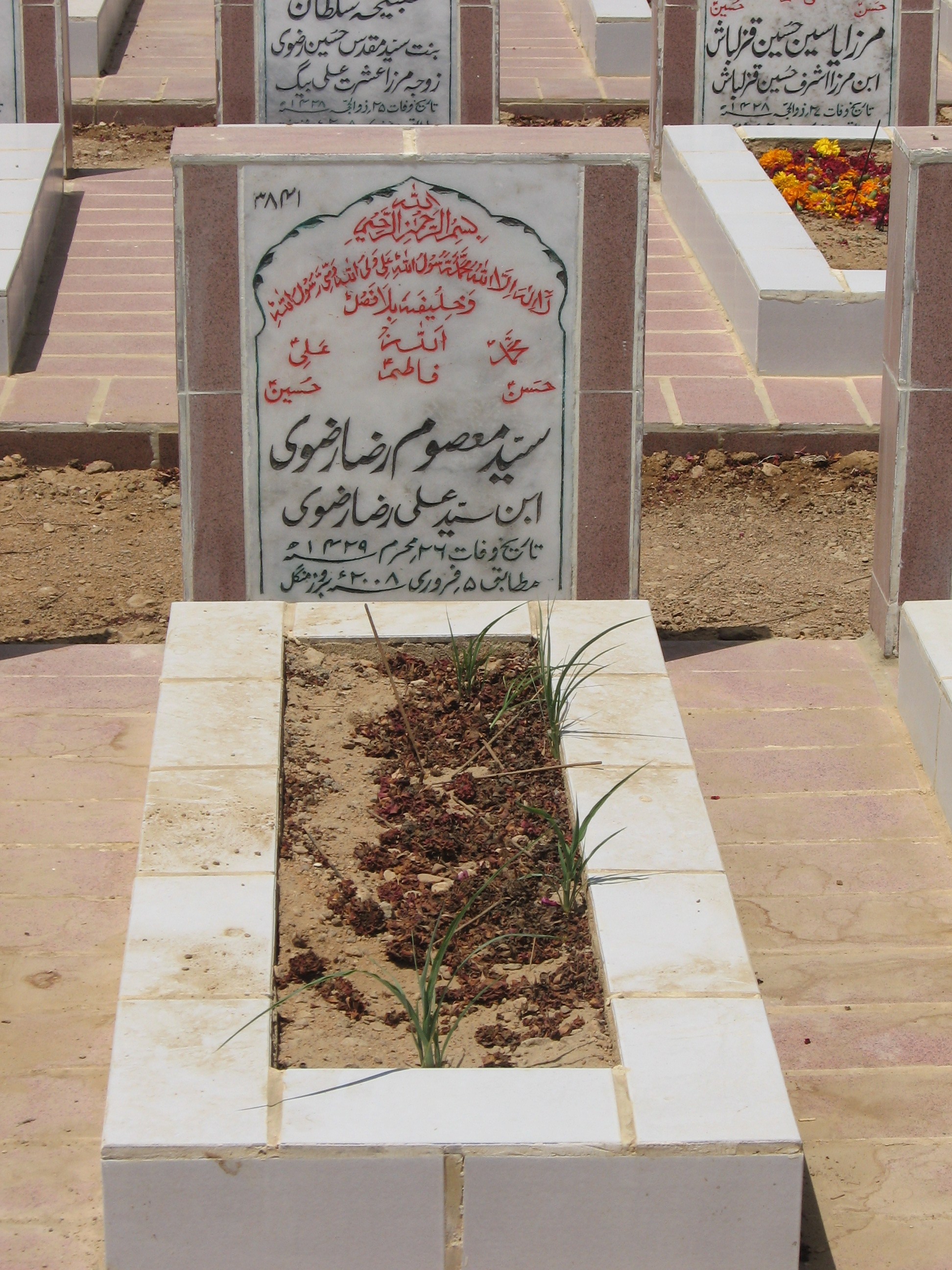 3841 – Syed Masoom Raza izvi