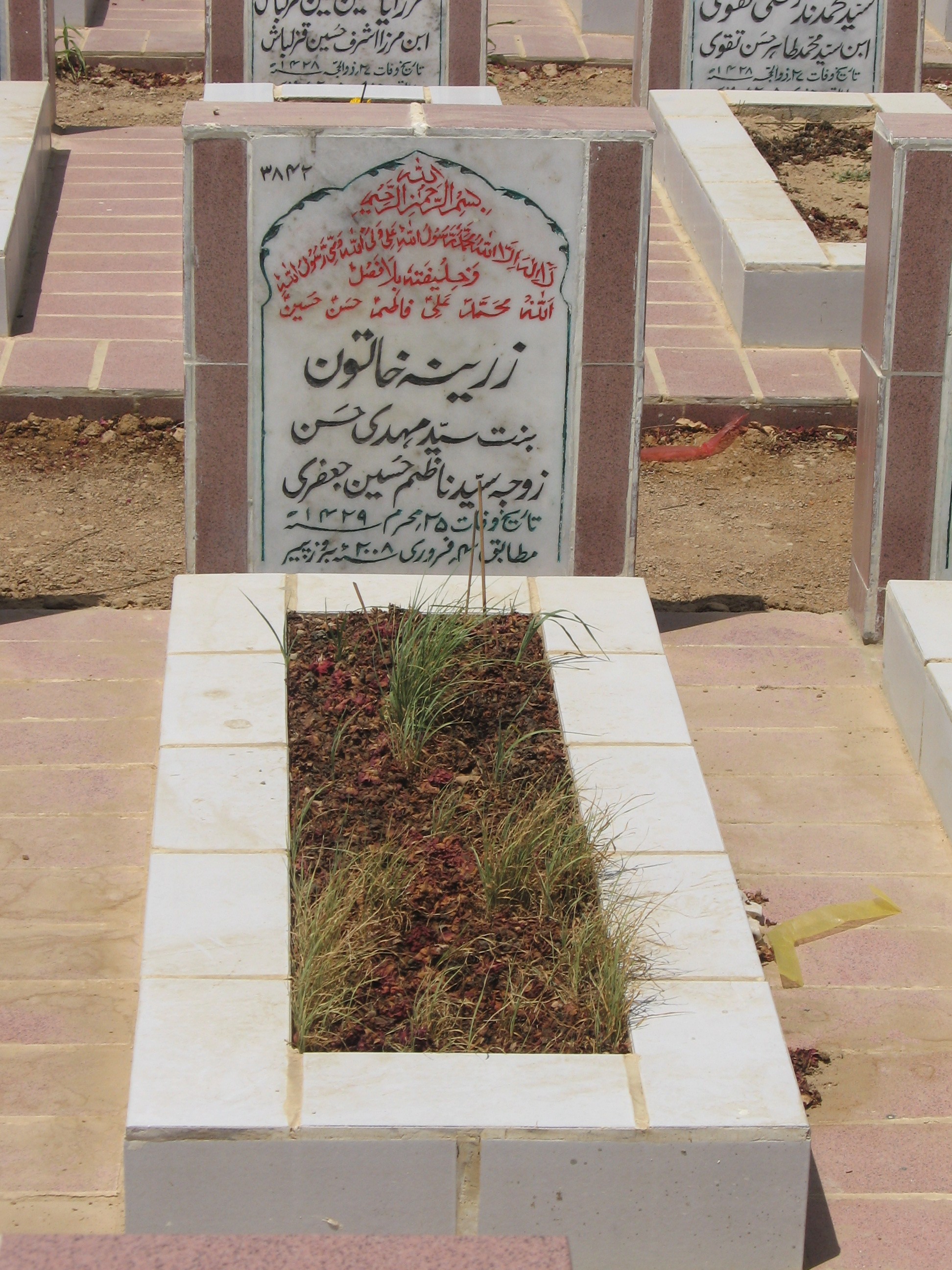 3842 – Zareena Khatoon