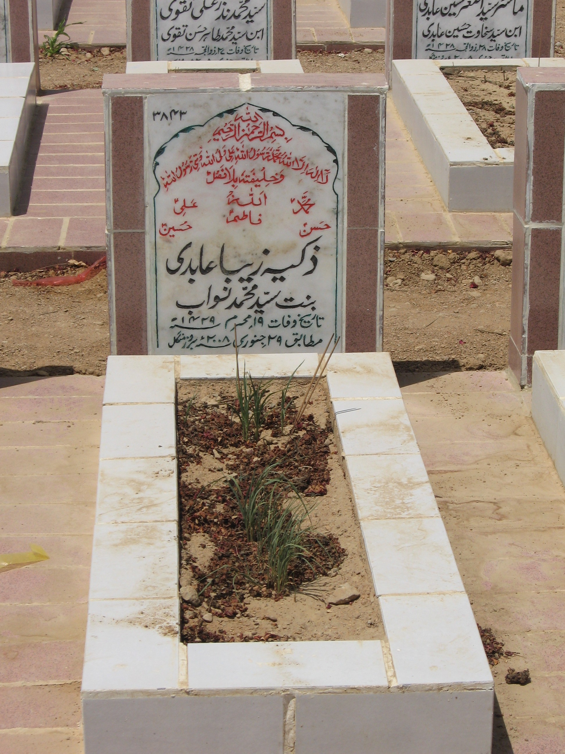 3843 – Zakia Zeba Abidi