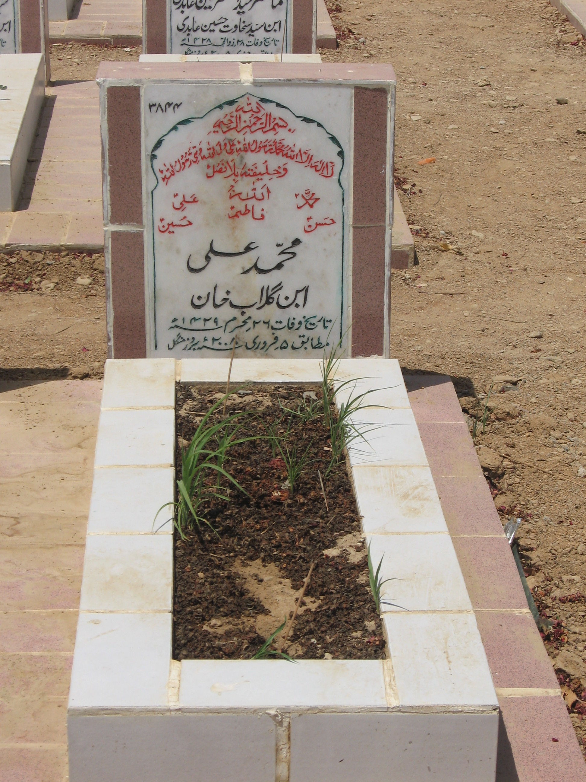 3844 – Muhammad Ali