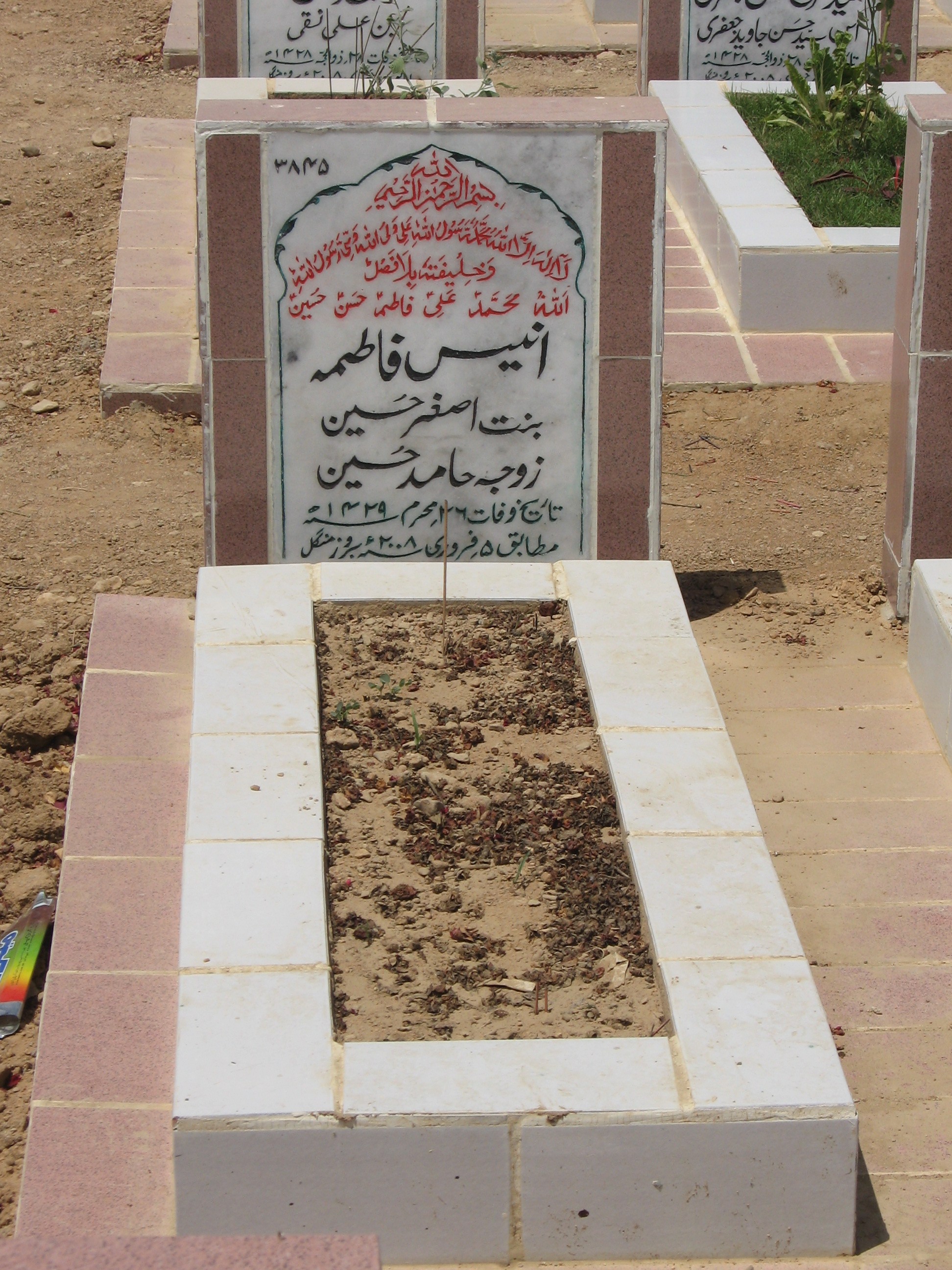 3845 – Anees Fatima