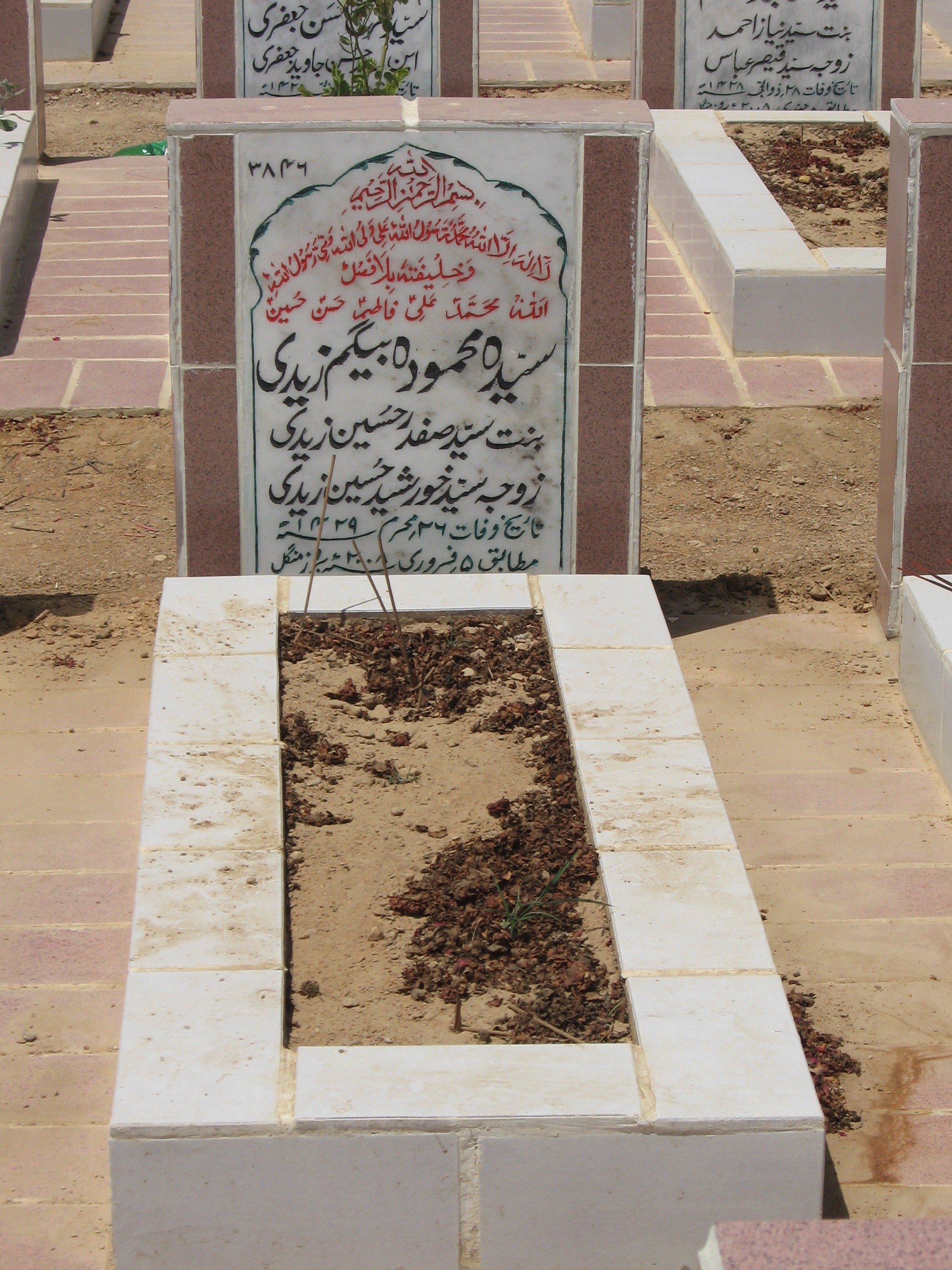 3846 – Syeda Mehmooda Begum Zaidi
