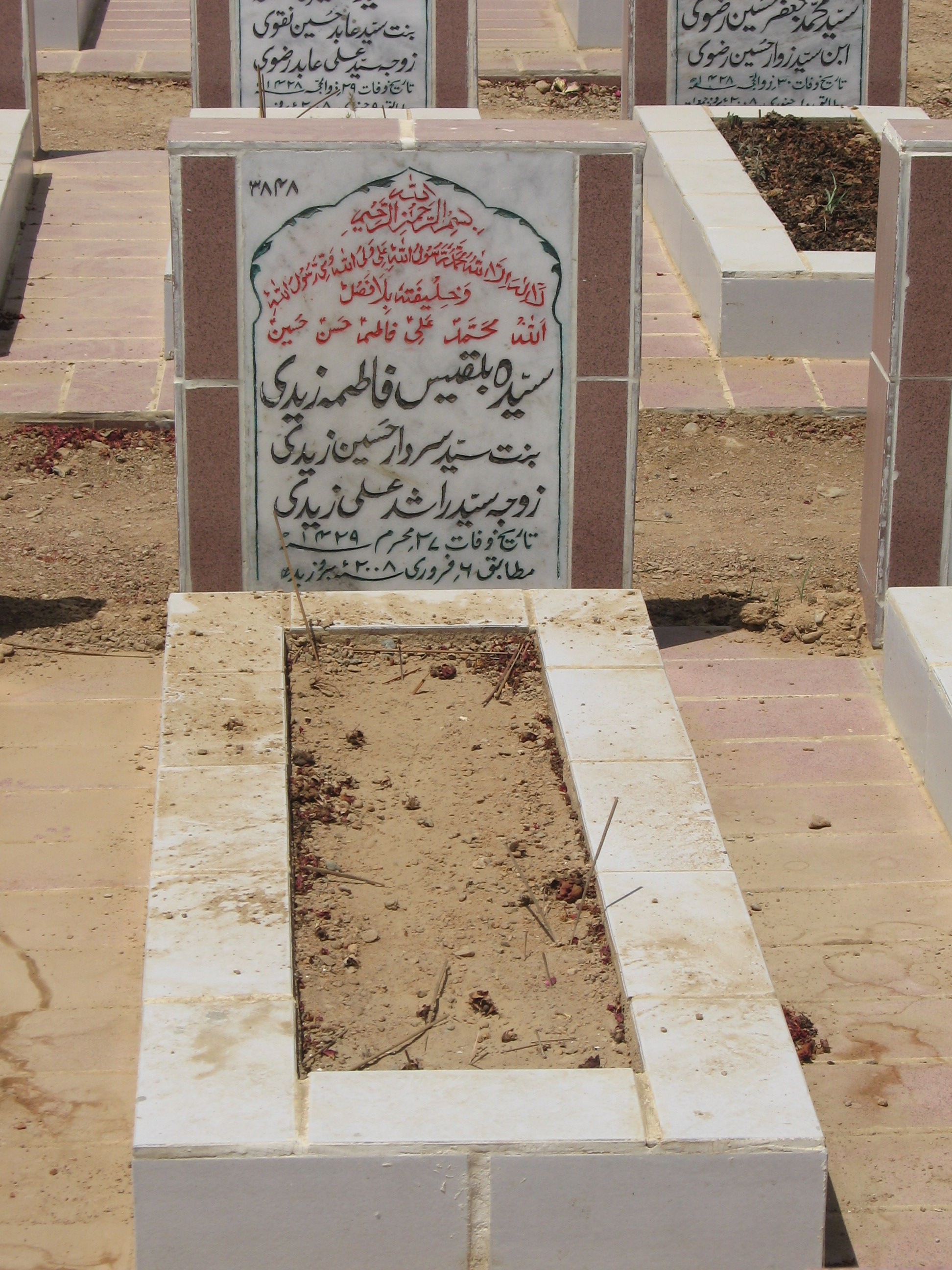 3848 – Syeda Bilqees Fatima Zaidi