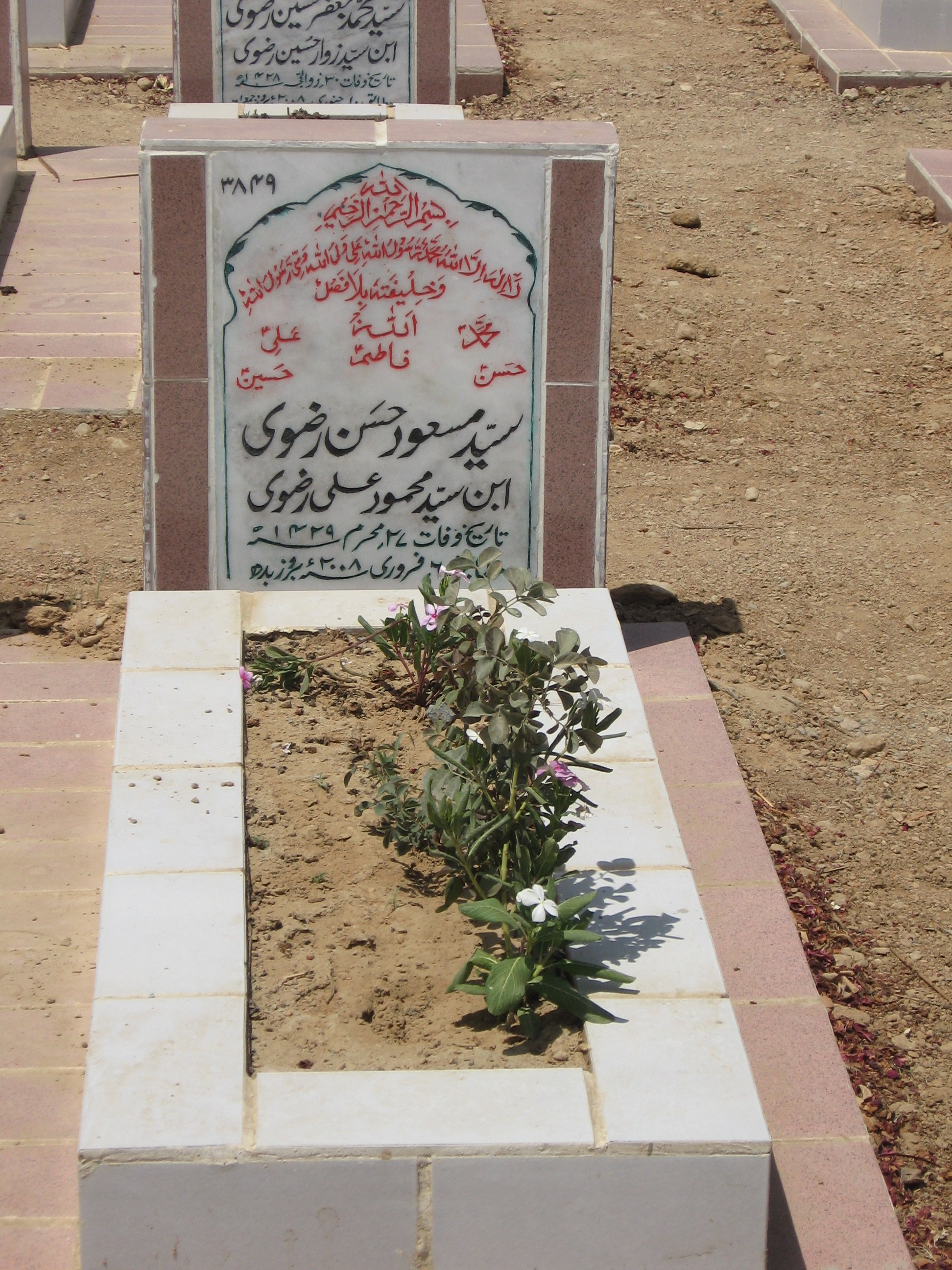 3849 – Syed Masood Hassan Rizvi