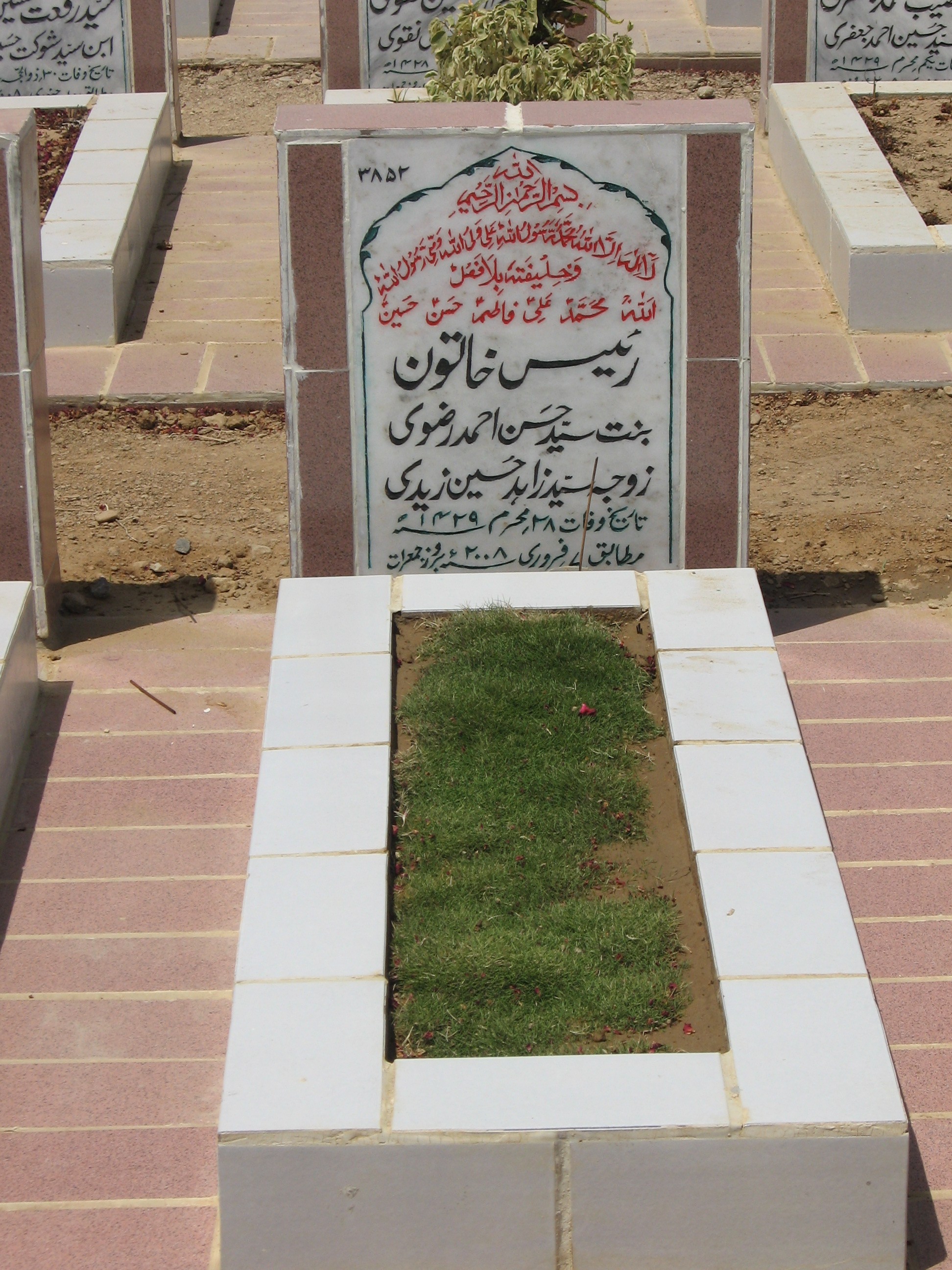 3852 – Raees Khatoo