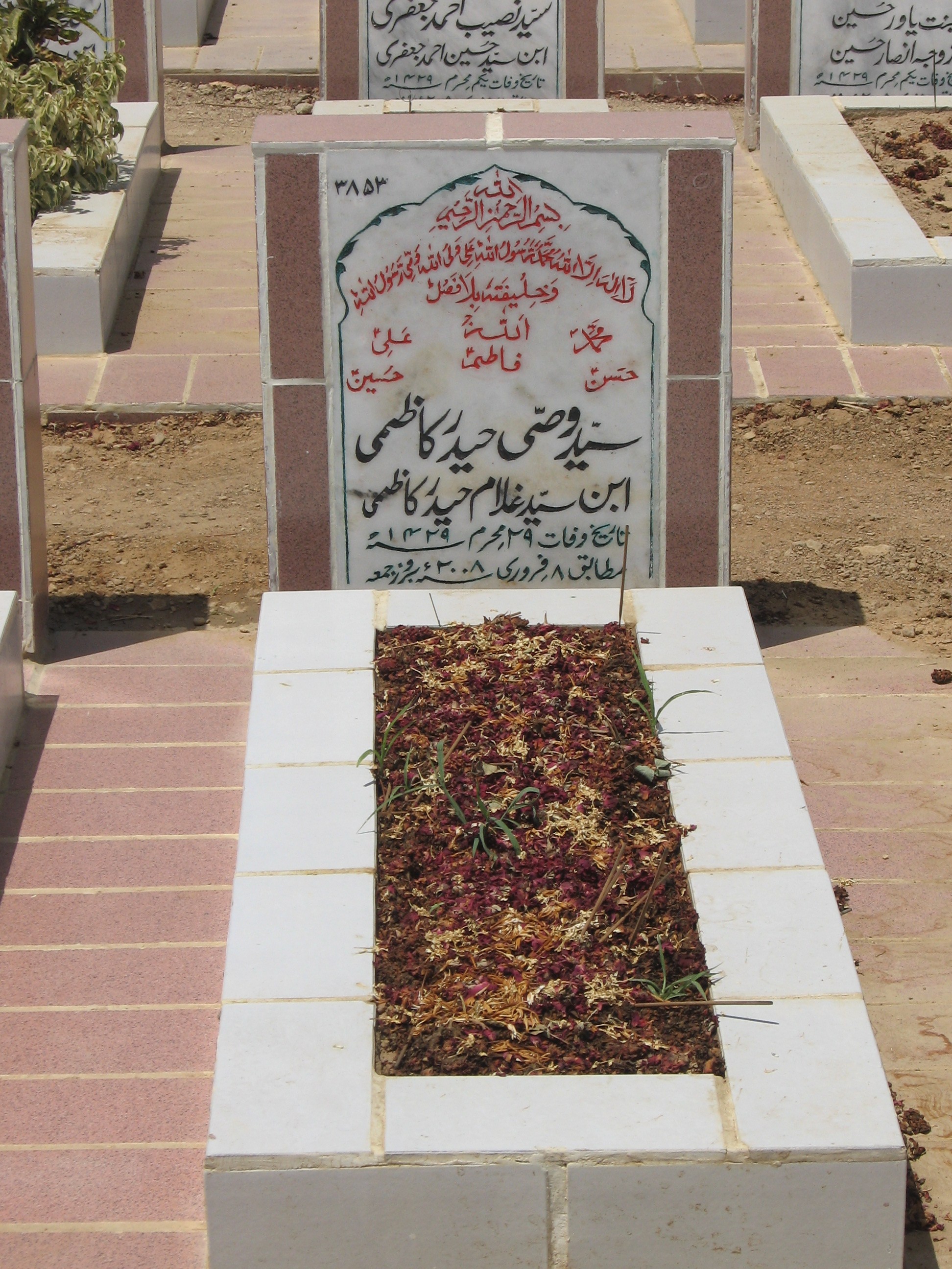 3853 – Syed Wasi Haider kazmi