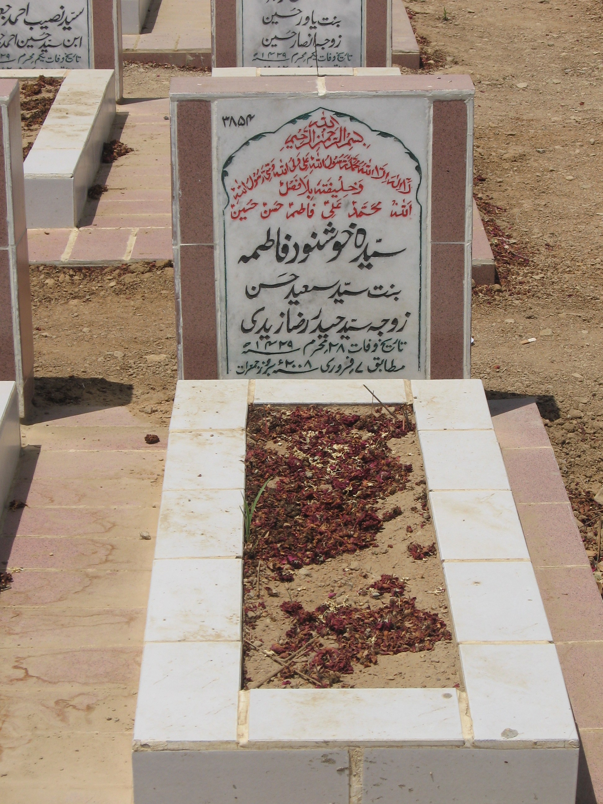 3854 – Syeda Khushnood Fatima