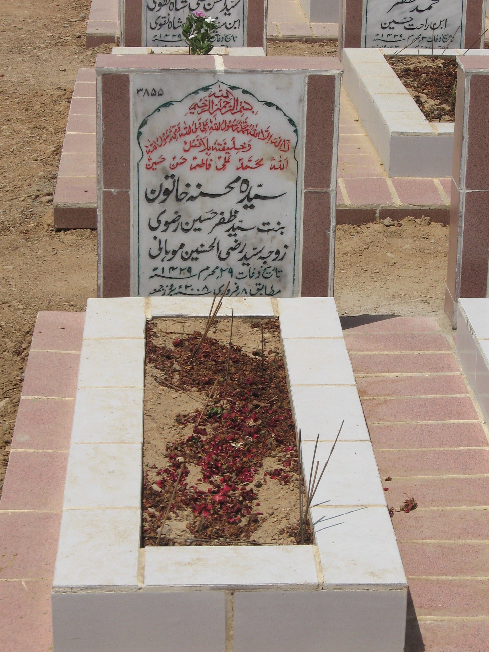 3855 – Syeda Mohsina khatoon