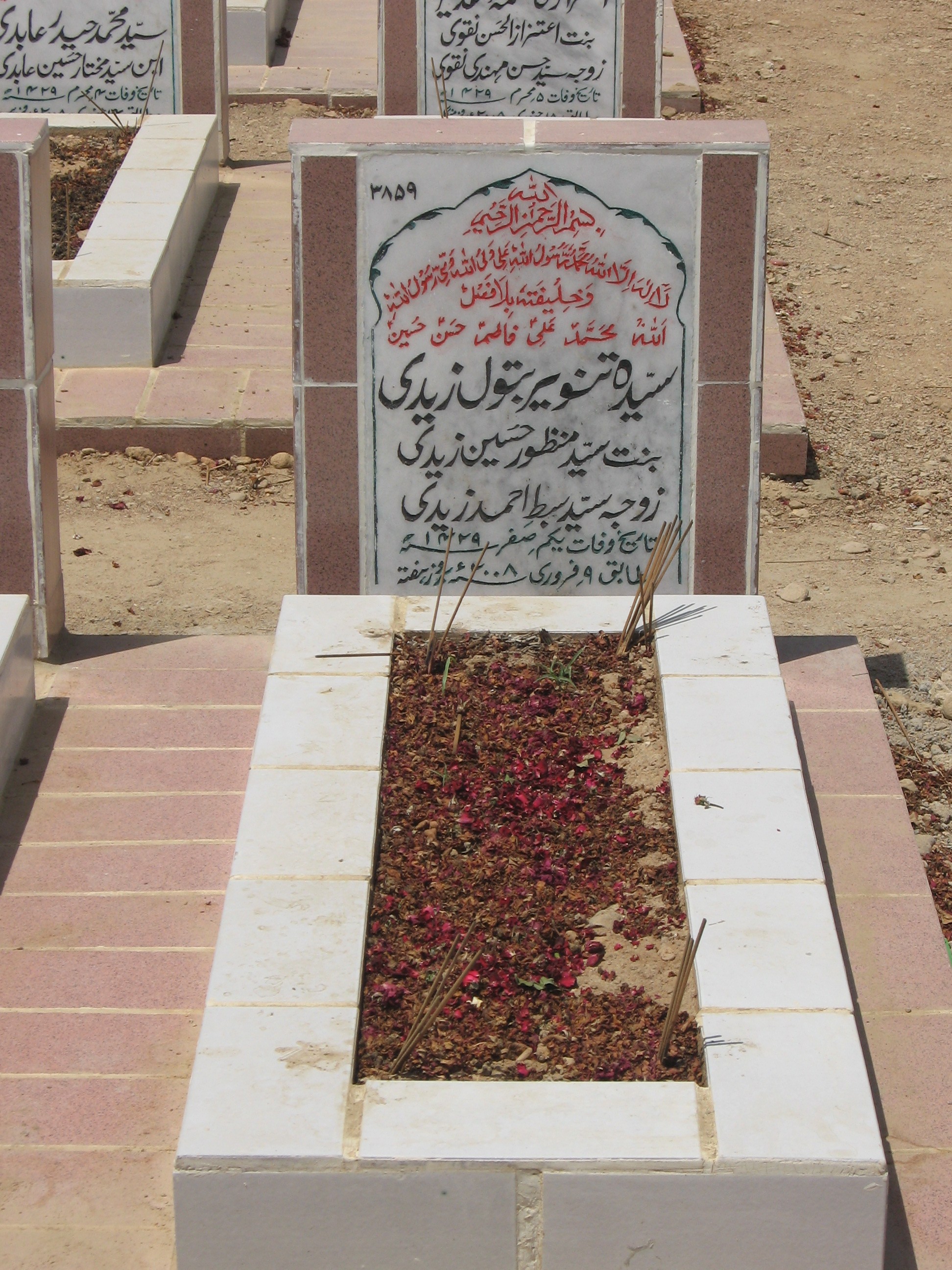 3859 – Syeda Tanveer Batool Zaidi