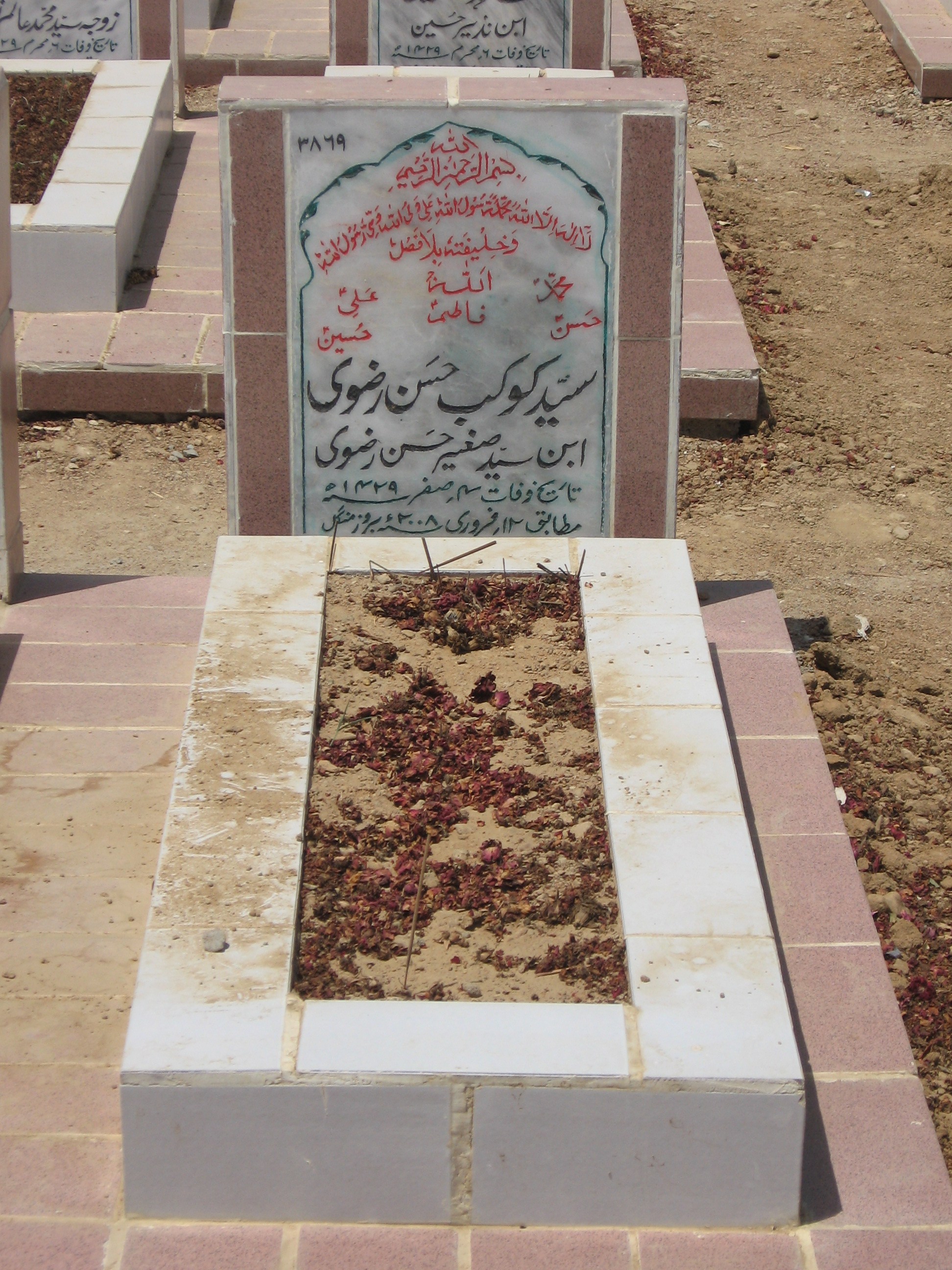 3869 – Syed Kokab Hassan Rizvi