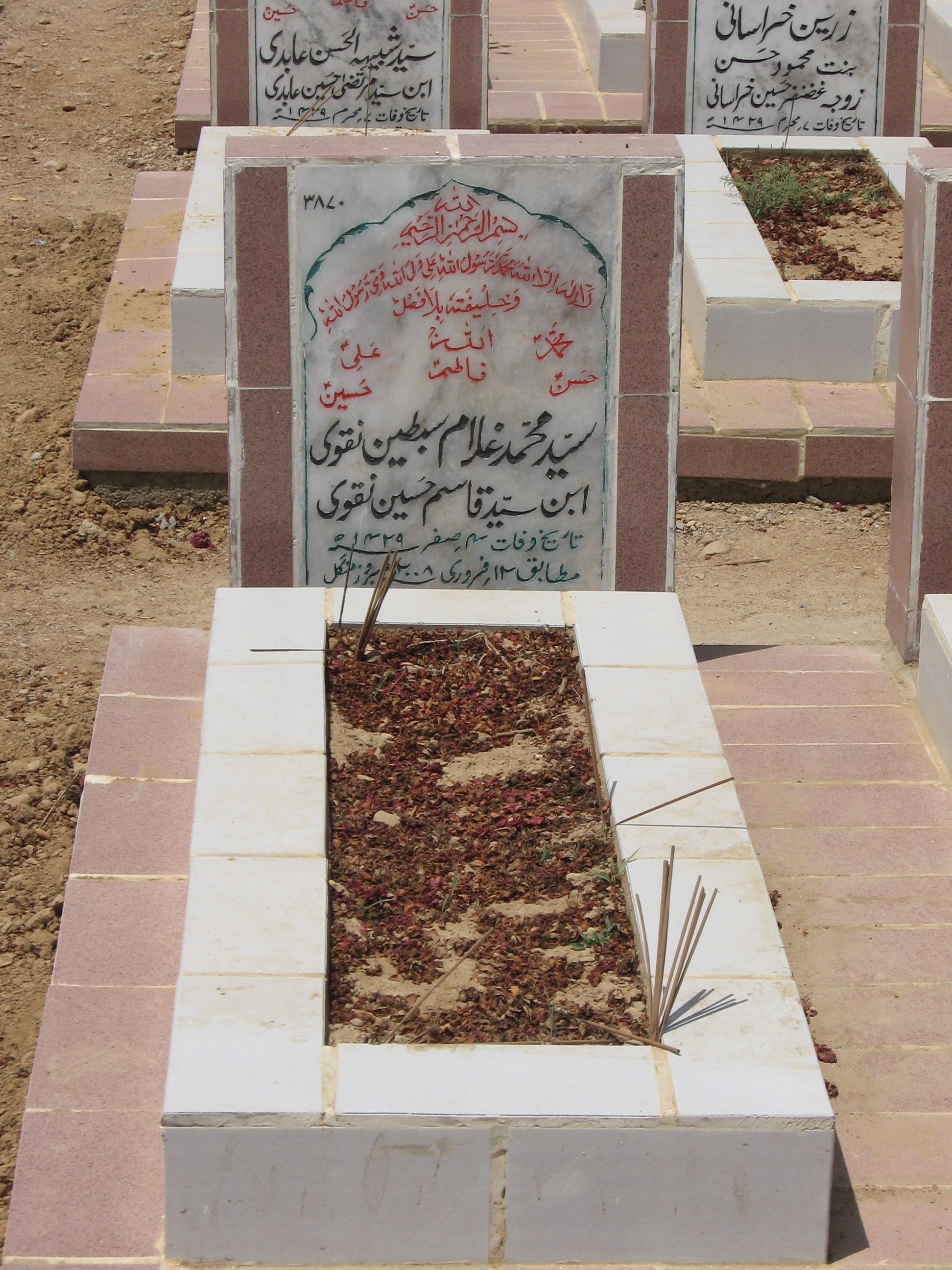 3870 – Syed Muhammad Ghulam Sibtain Naqvi