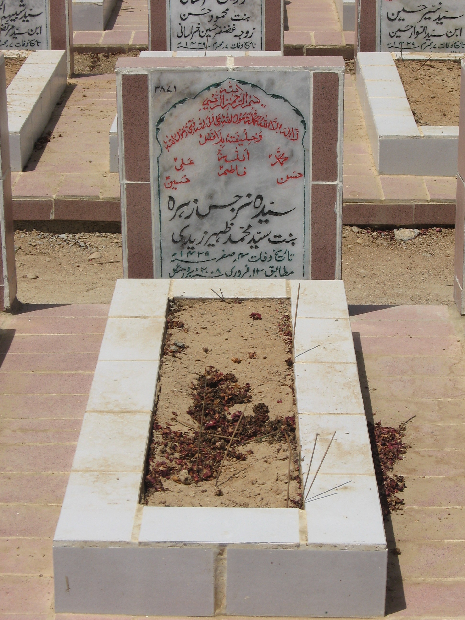 3871 – Syeda Narjis Zehra