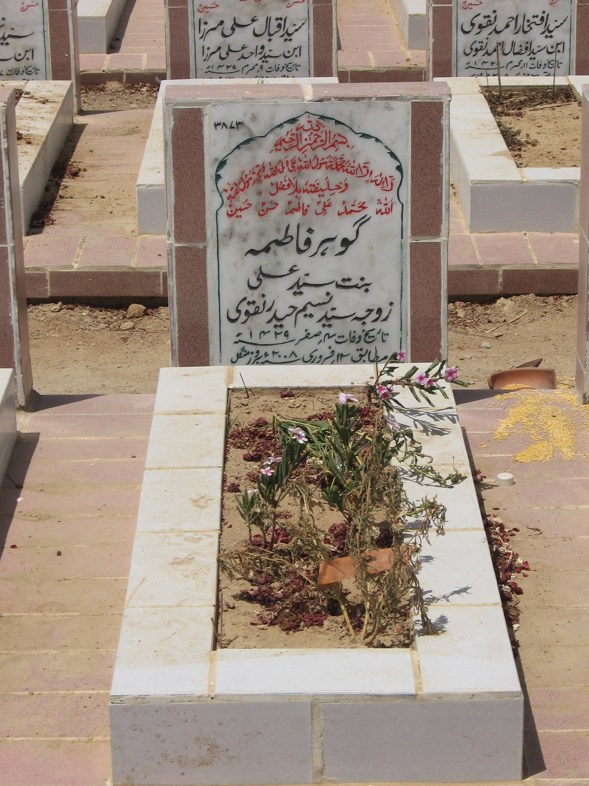 3873 – Gohar Fatima