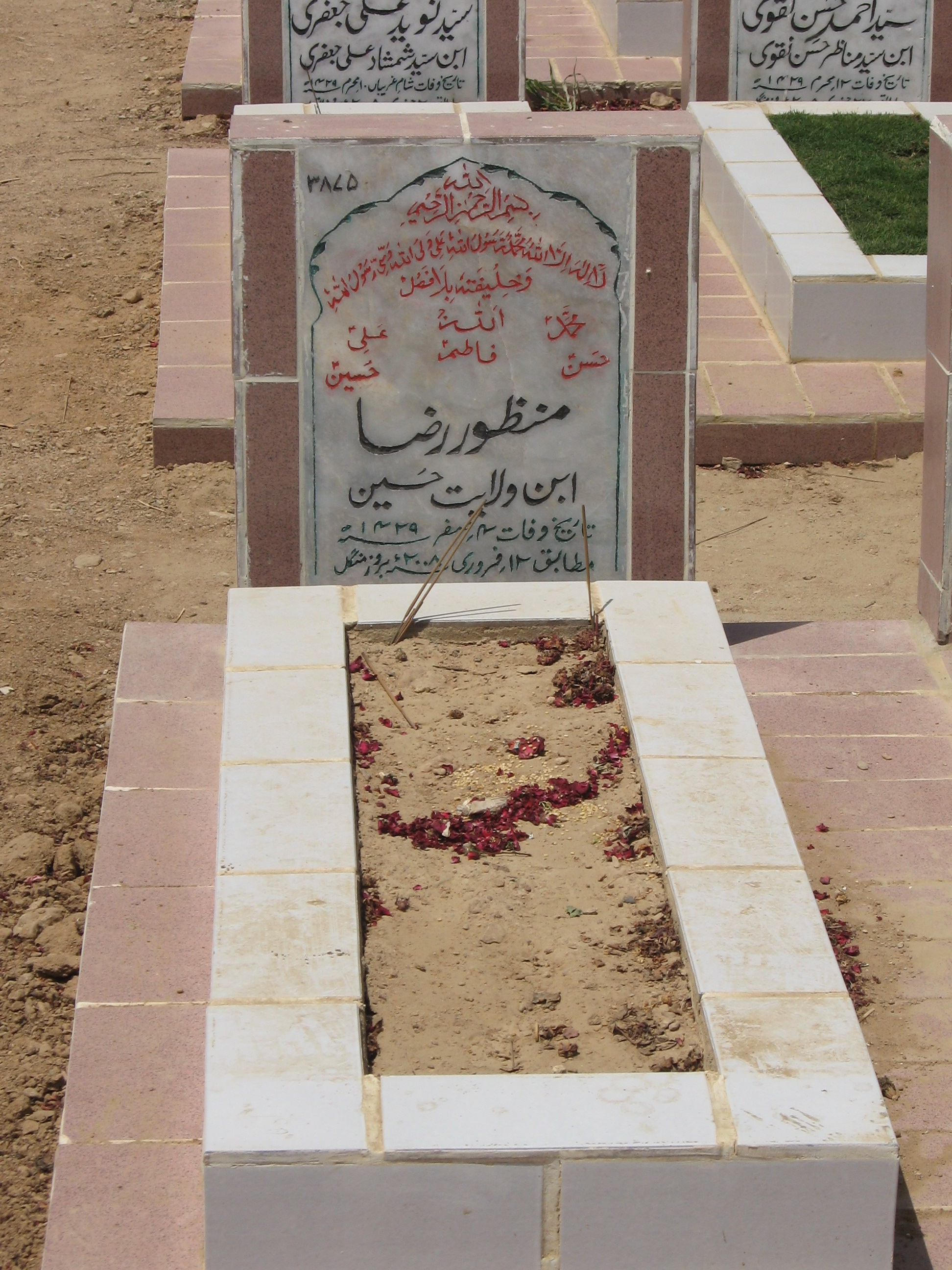 3875 – Manzoor Raza